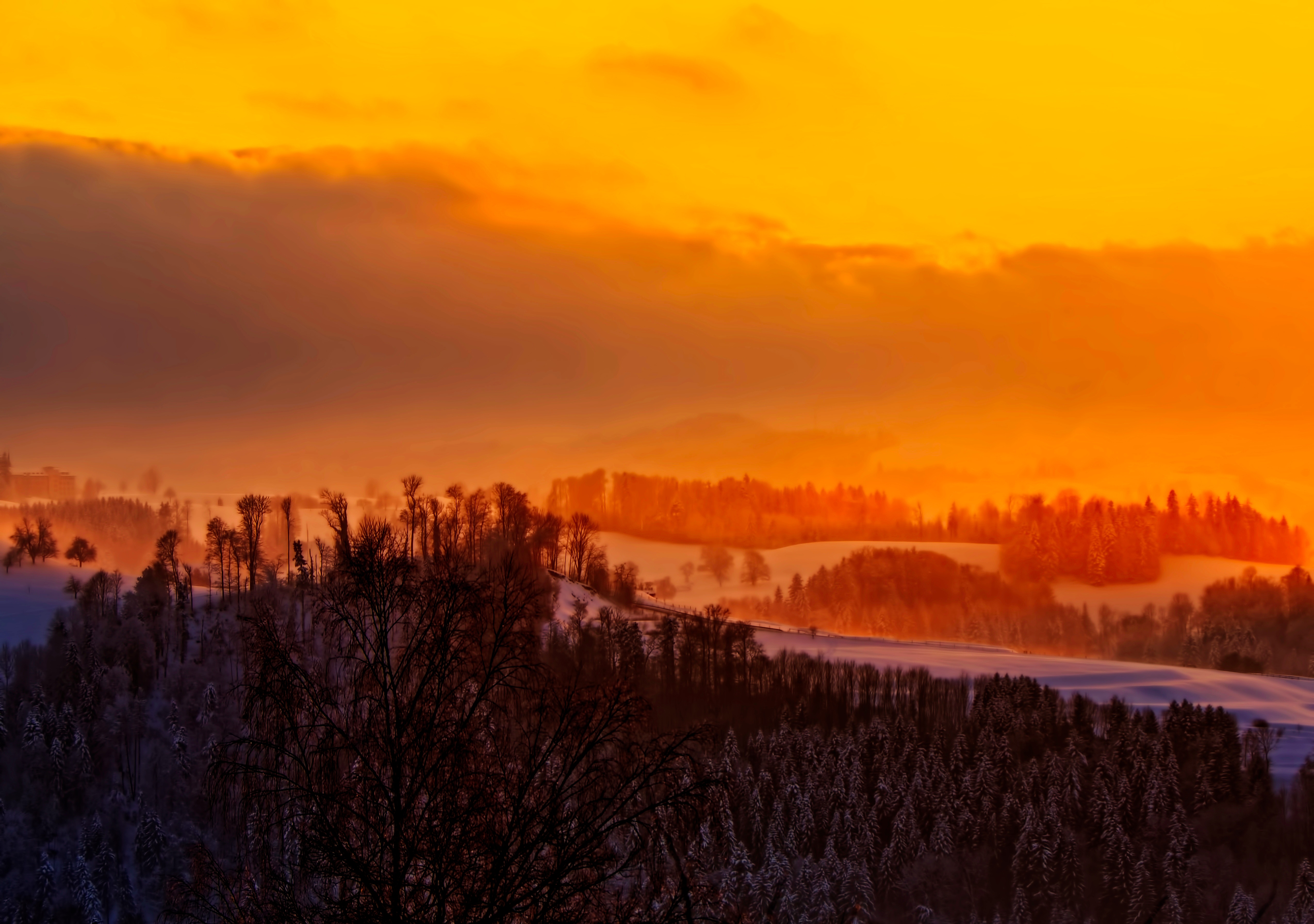 Laden Sie das Natur, Bäume, Sky, Sunset, Winter-Bild kostenlos auf Ihren PC-Desktop herunter