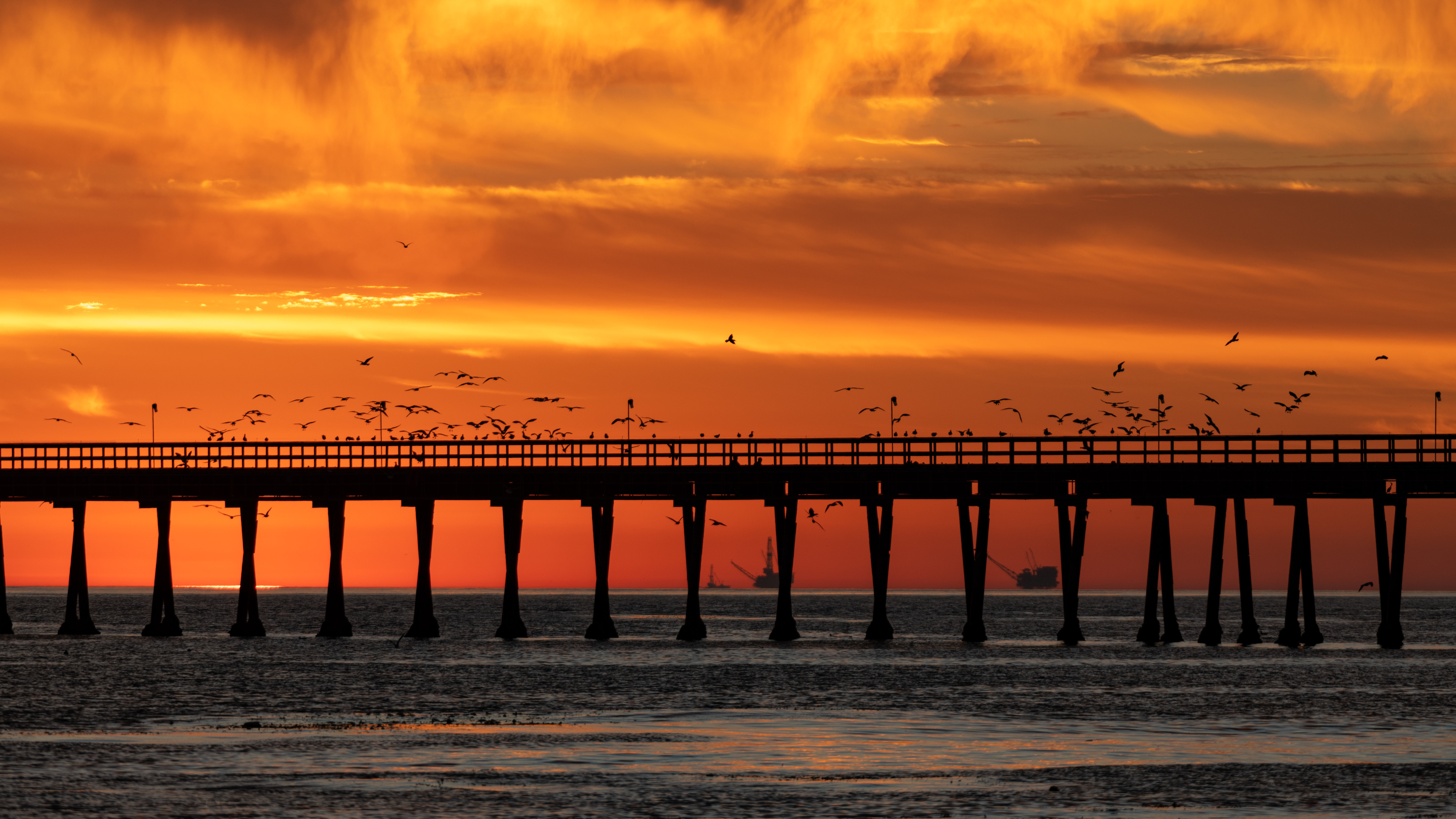 Download mobile wallpaper Dusk, Bridge, Nature, Twilight, Sunset, Birds, Sea for free.