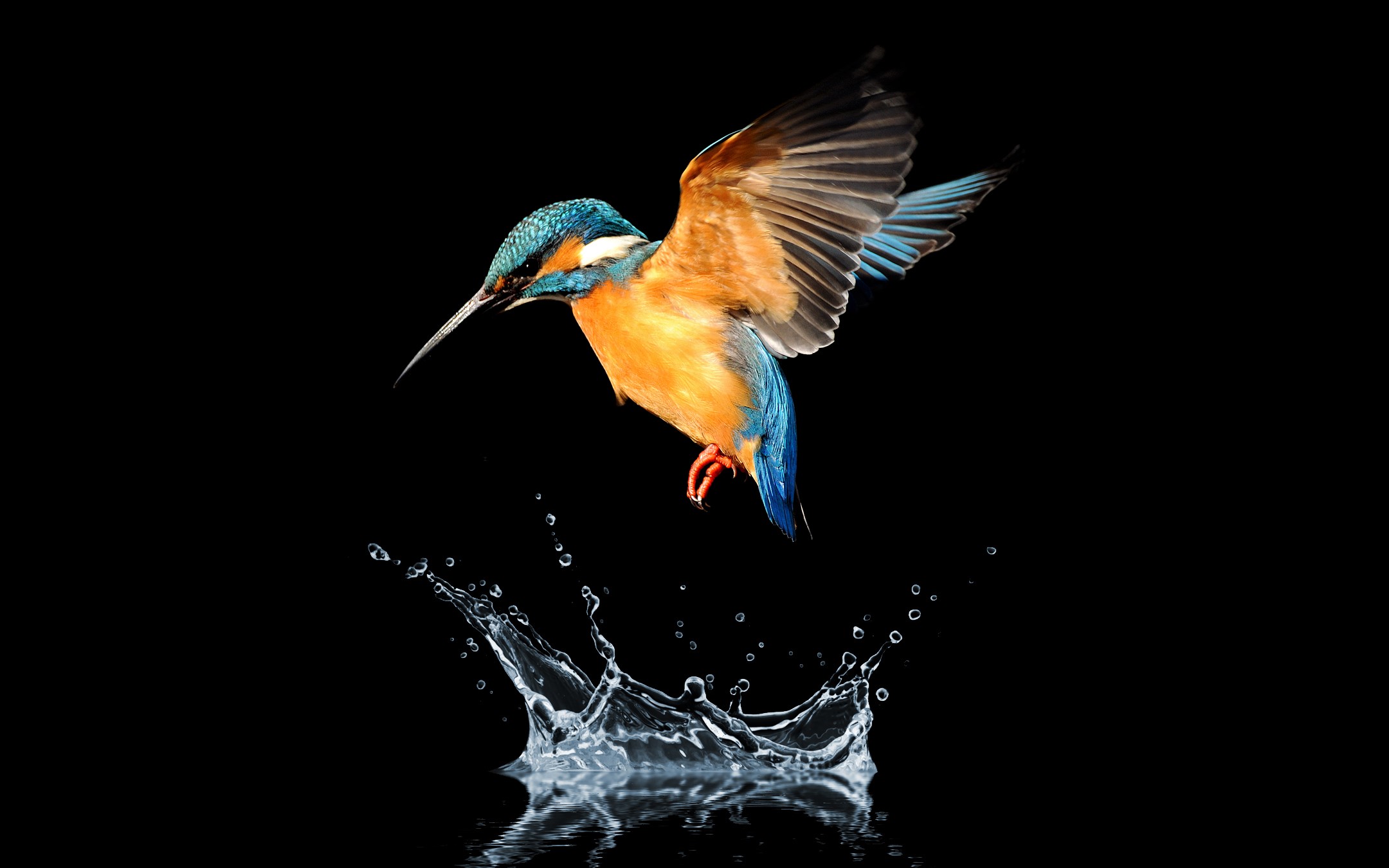 PCデスクトップに動物, 鳥, 水, スプラッシュ, カワセミ画像を無料でダウンロード