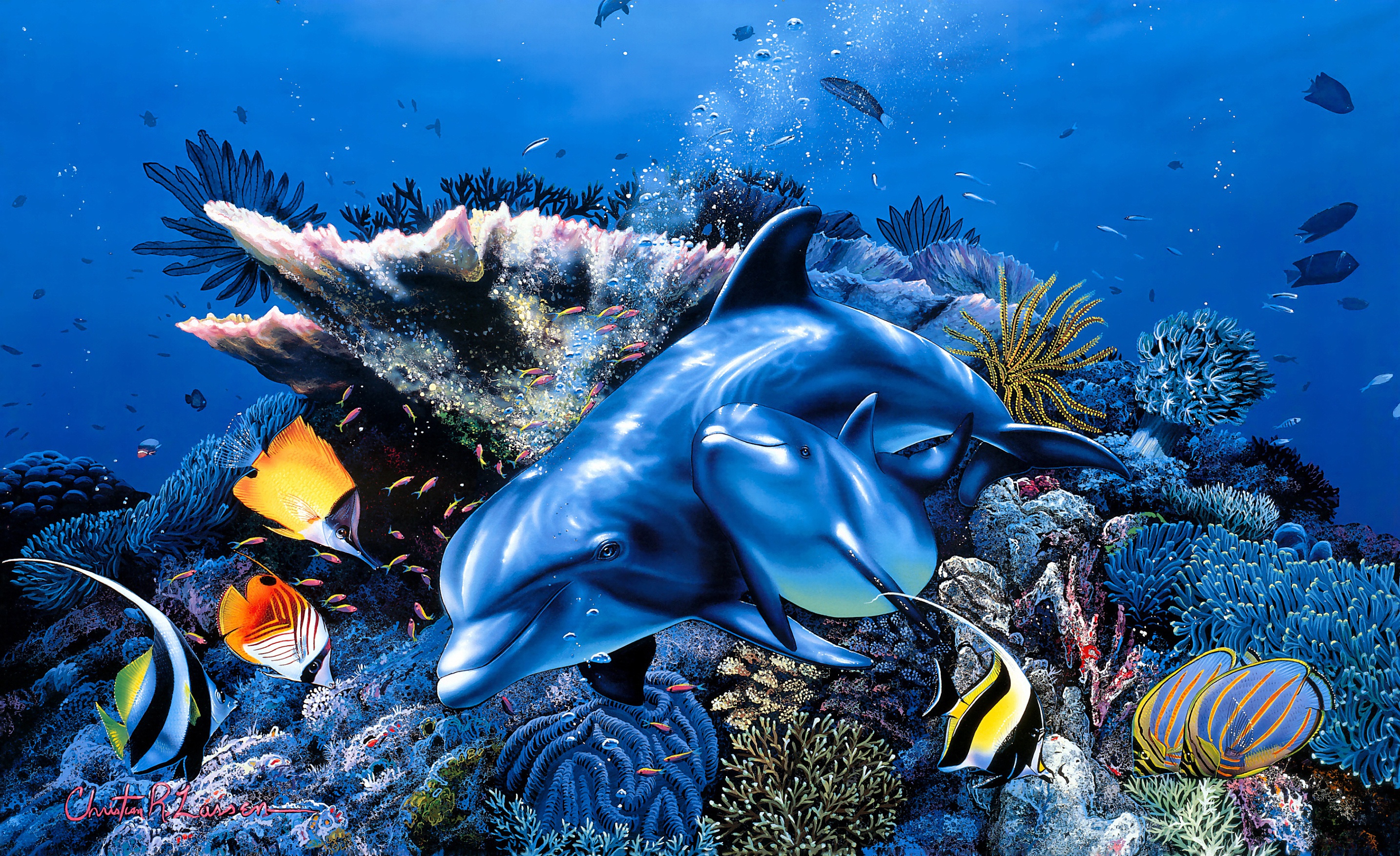 Laden Sie das Tiere, Koralle, Malerei, Delfin, Fisch, Tierbaby, Seeleben-Bild kostenlos auf Ihren PC-Desktop herunter