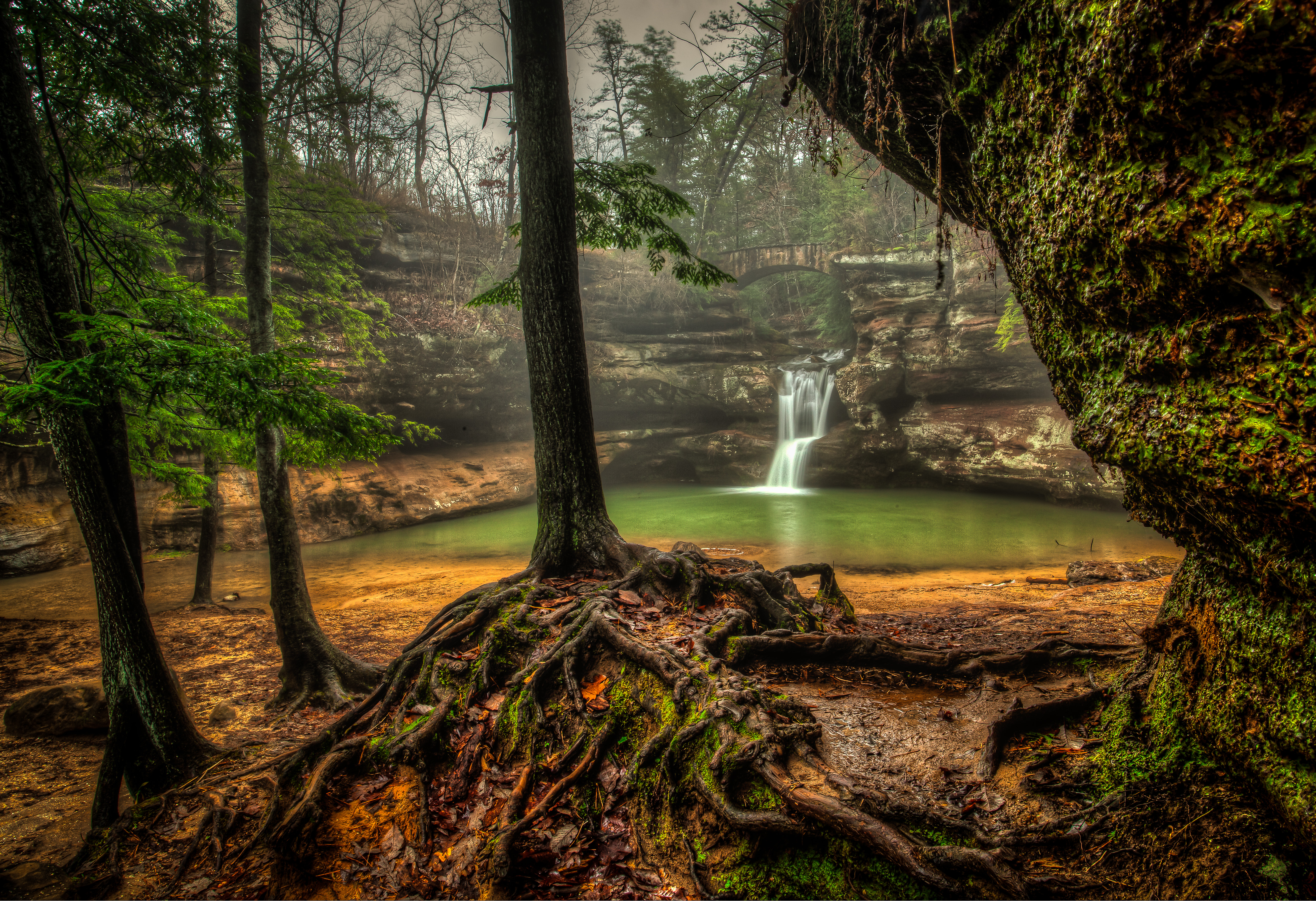Baixe gratuitamente a imagem Cachoeiras, Árvore, Terra/natureza, Cachoeira na área de trabalho do seu PC