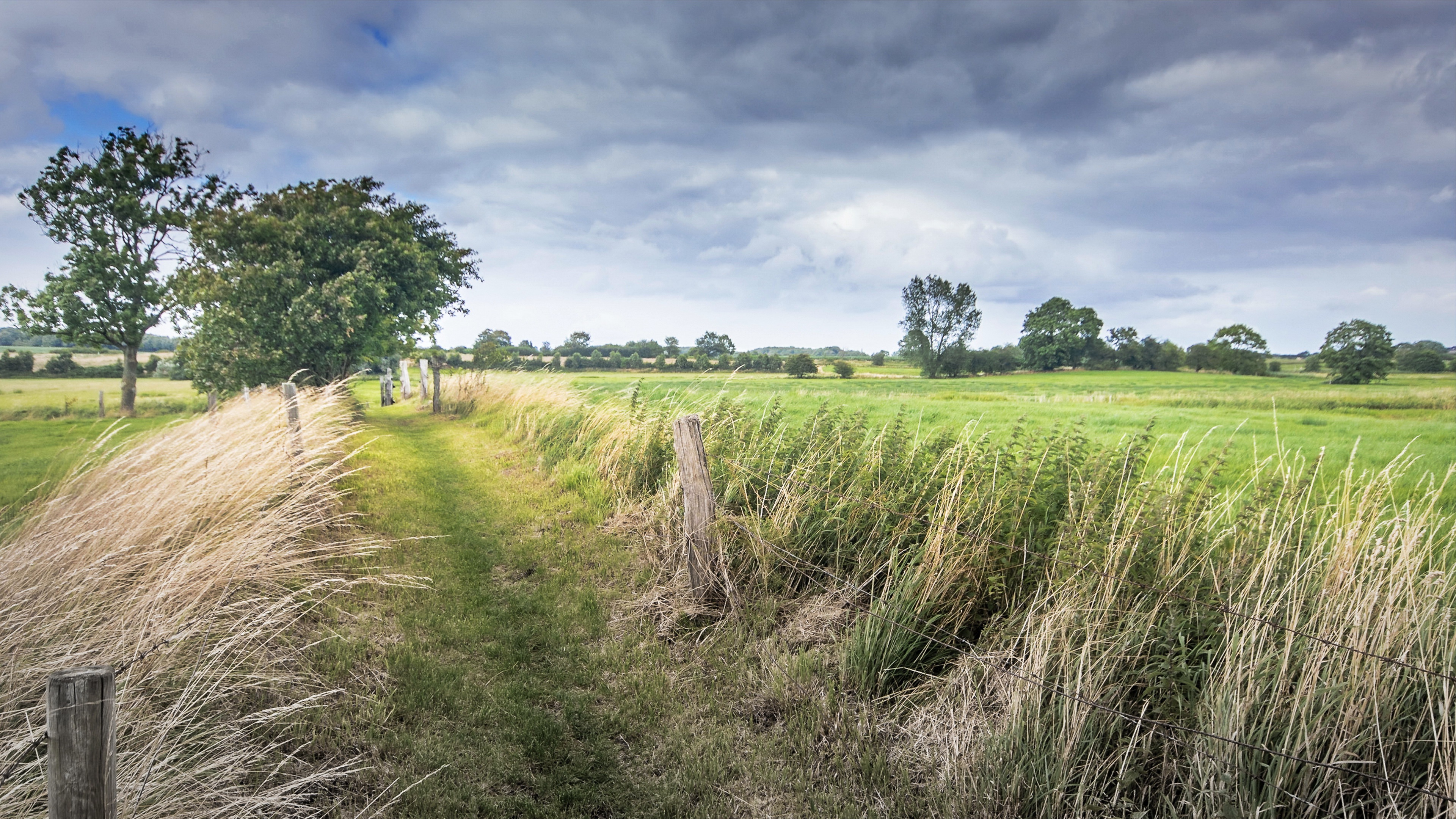 Download mobile wallpaper Summer, Earth, Field, Fence for free.