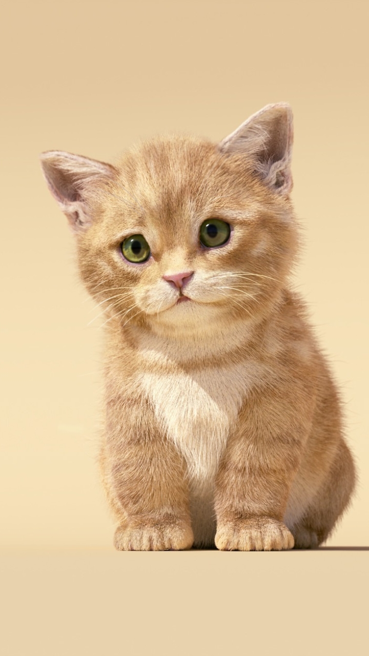 Download mobile wallpaper Cats, Cat, Kitten, Animal, Cute, Baby Animal for free.