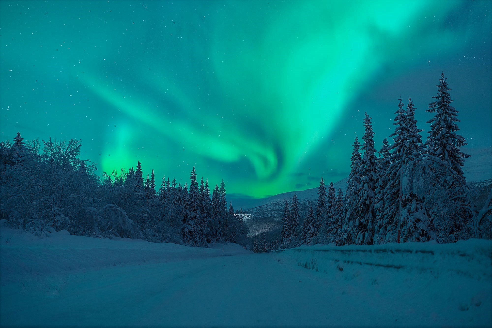 Laden Sie das Winter, Schnee, Licht, Straße, Gebirge, Nacht, Erde/natur, Nordlicht-Bild kostenlos auf Ihren PC-Desktop herunter