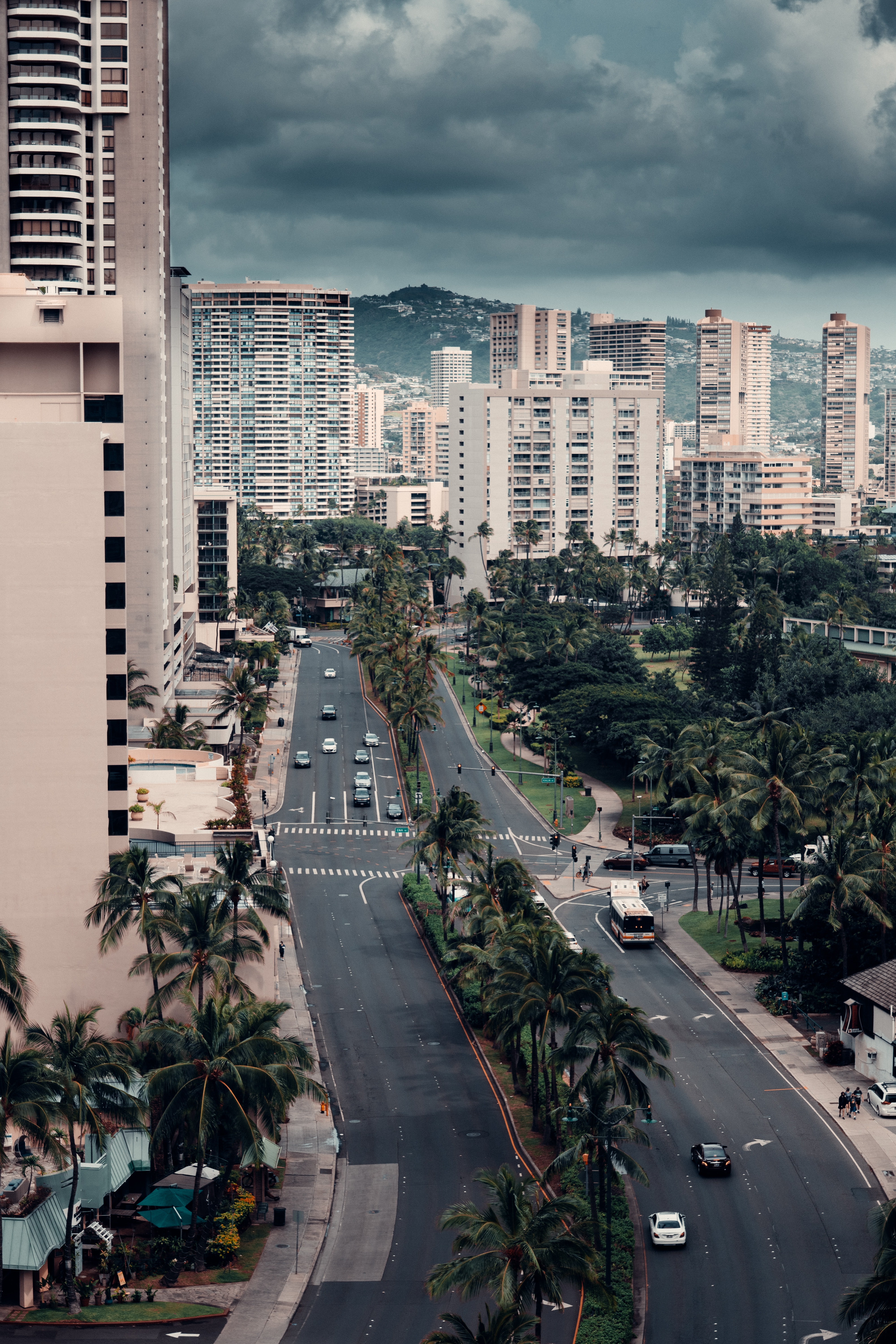 cities, palms, city, building, view from above, road 1080p