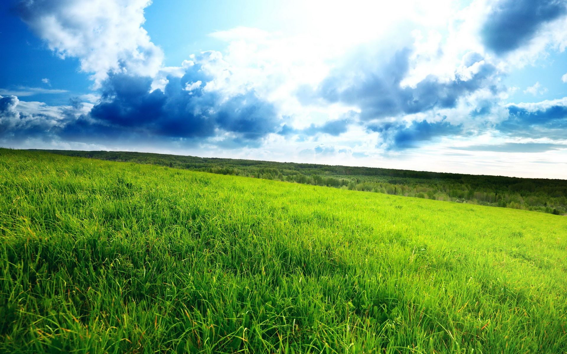 Free download wallpaper Earth, Field on your PC desktop