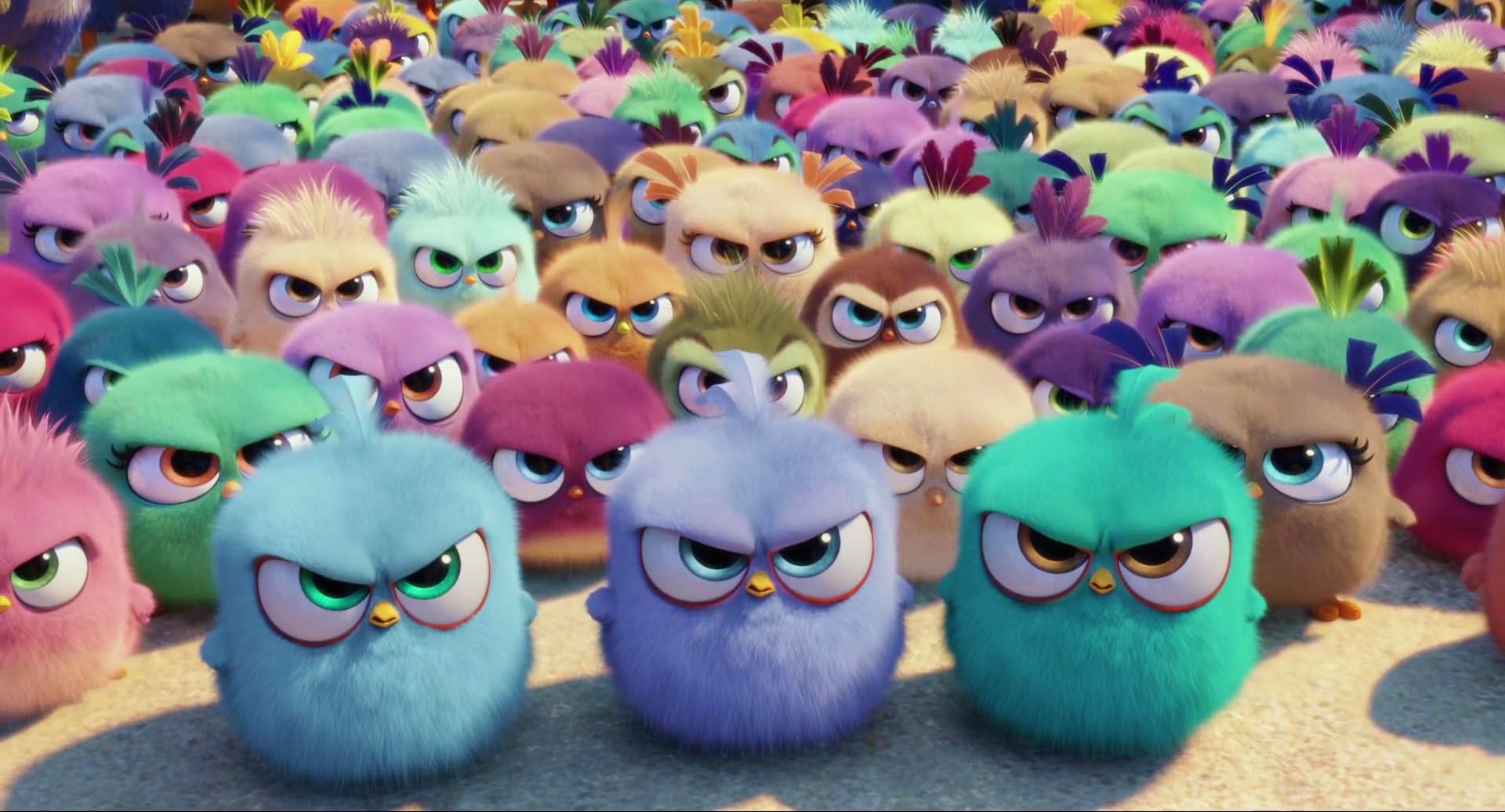Скачать обои бесплатно Кино, Красочный, Разгневанные Птички, Angry Birds В Кино картинка на рабочий стол ПК