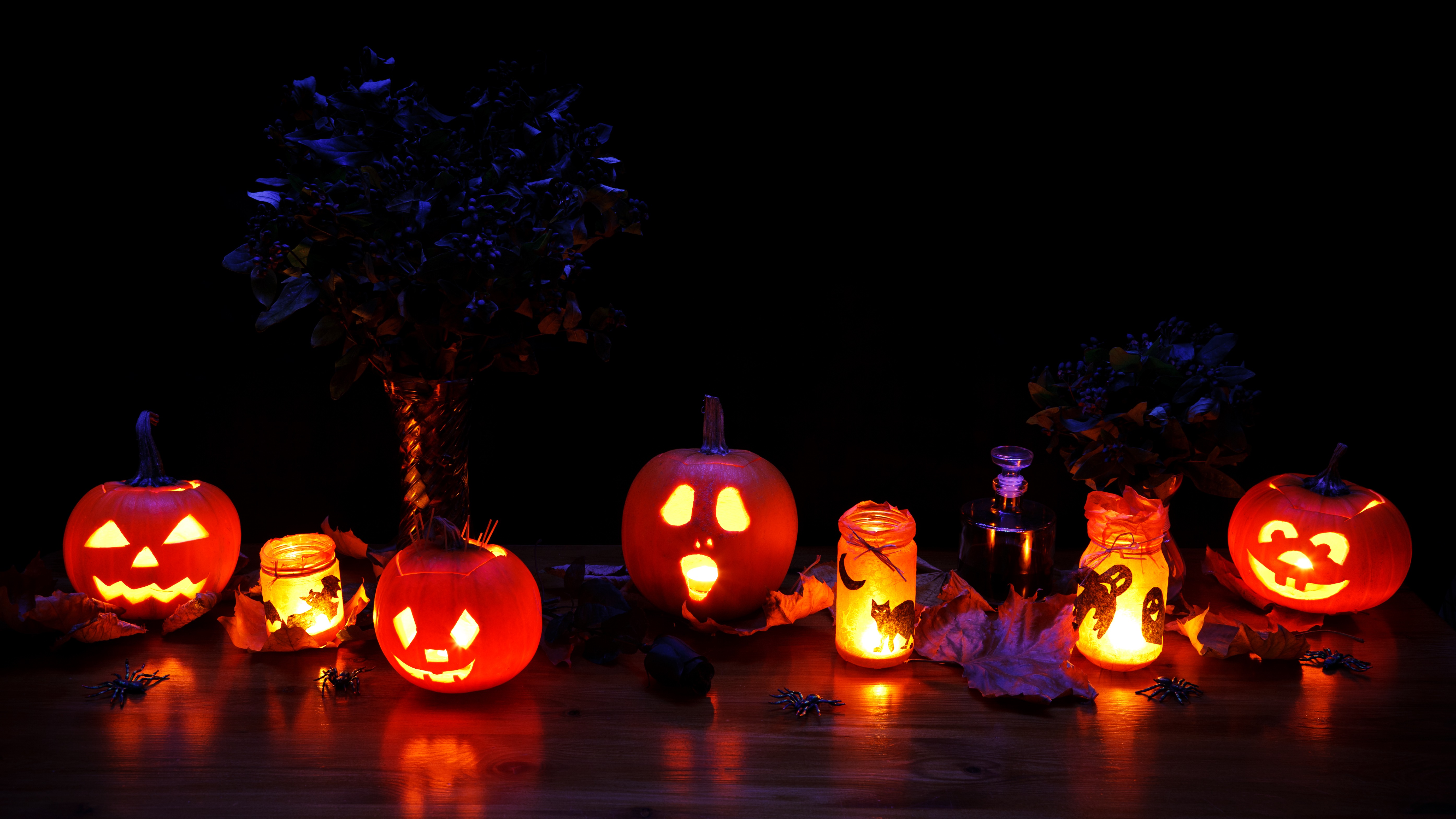 Download mobile wallpaper Halloween, Pumpkin, Holiday, Jack O' Lantern for free.