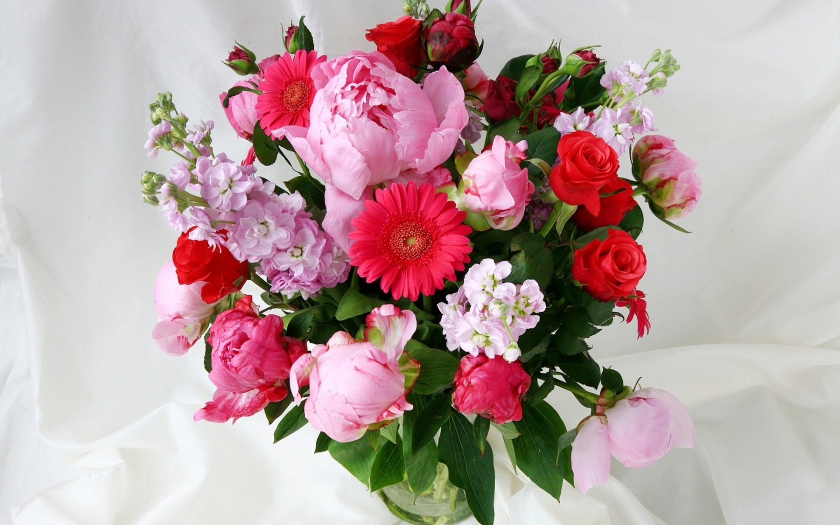 Free download wallpaper Flowers, Bouquets, Plants on your PC desktop