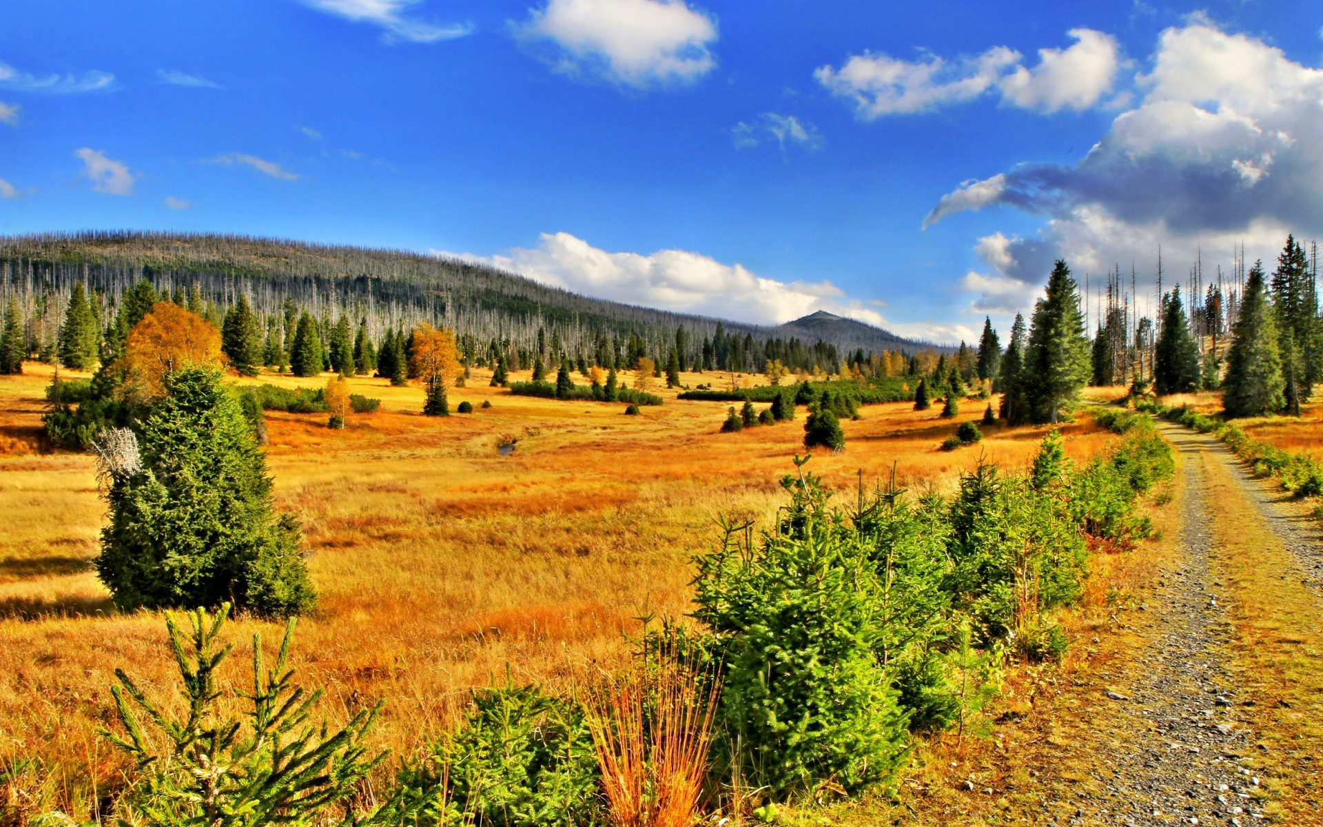 Handy-Wallpaper Landschaft, Erde/natur kostenlos herunterladen.