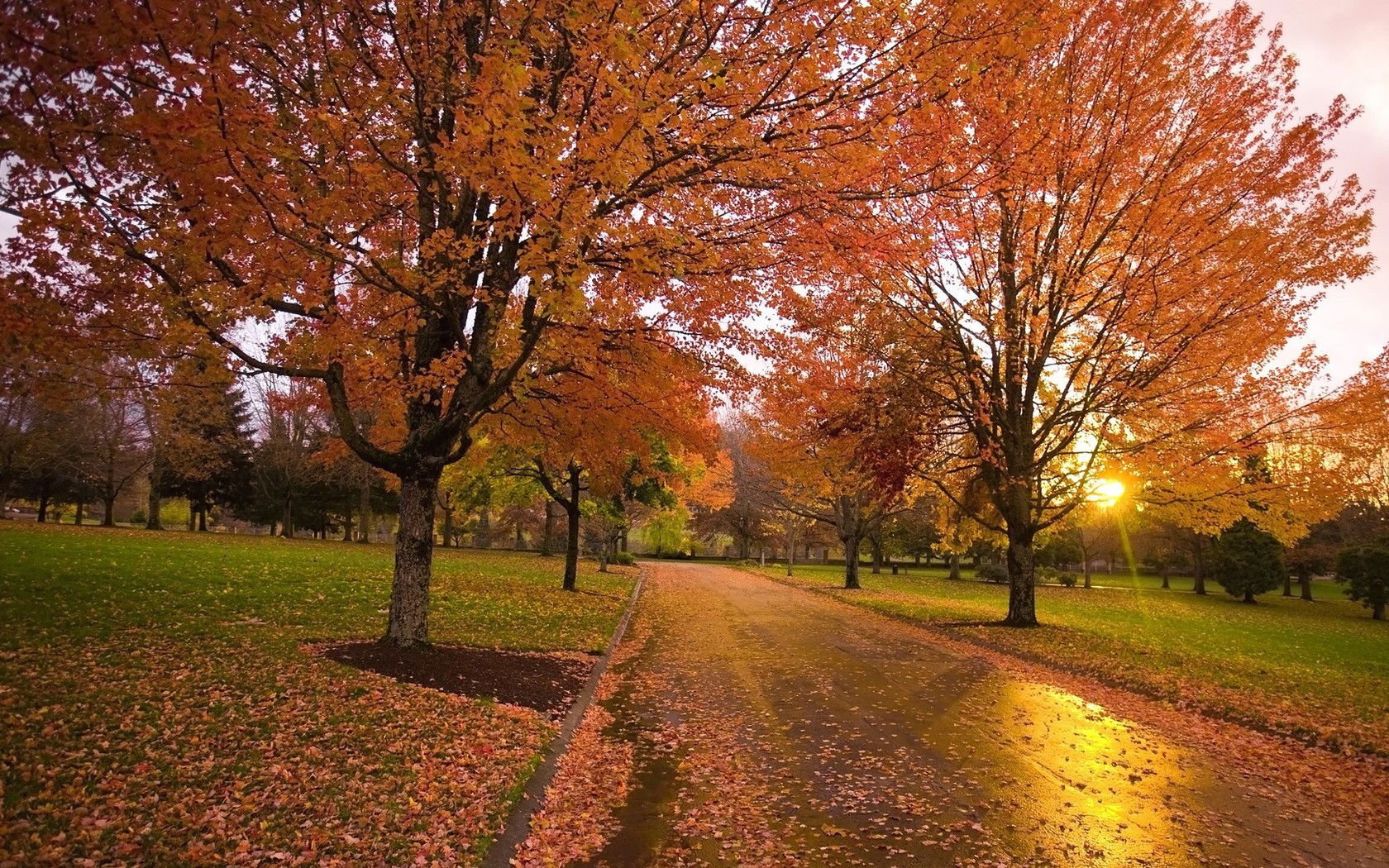 1451108 descargar fondo de pantalla fotografía, parque, otoño, sendero, árbol: protectores de pantalla e imágenes gratis