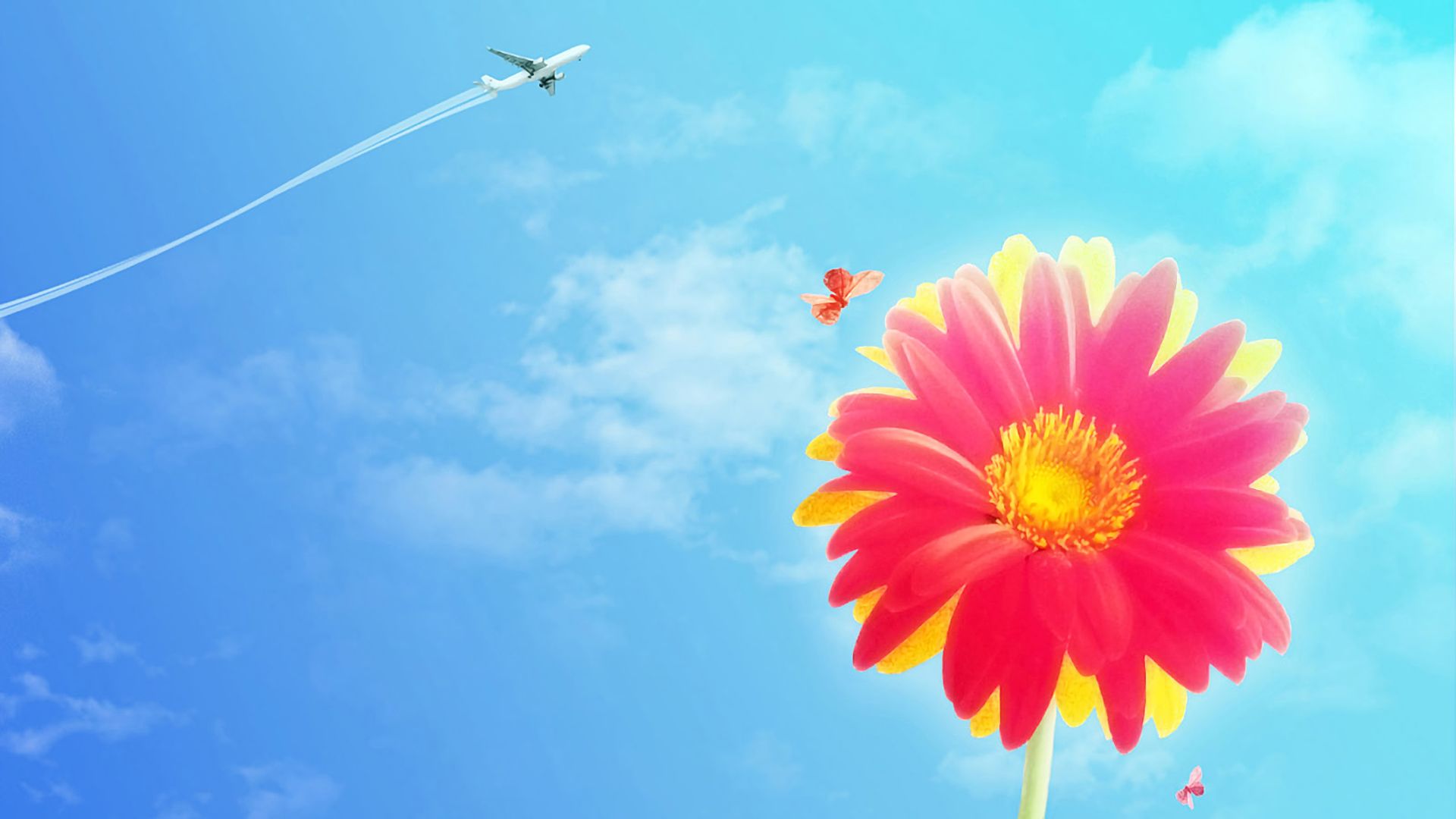 無料モバイル壁紙蝶, フラワーズ, 飛行機, ガーベラ, 花, 青い, 地球, 空, ピンクの花をダウンロードします。