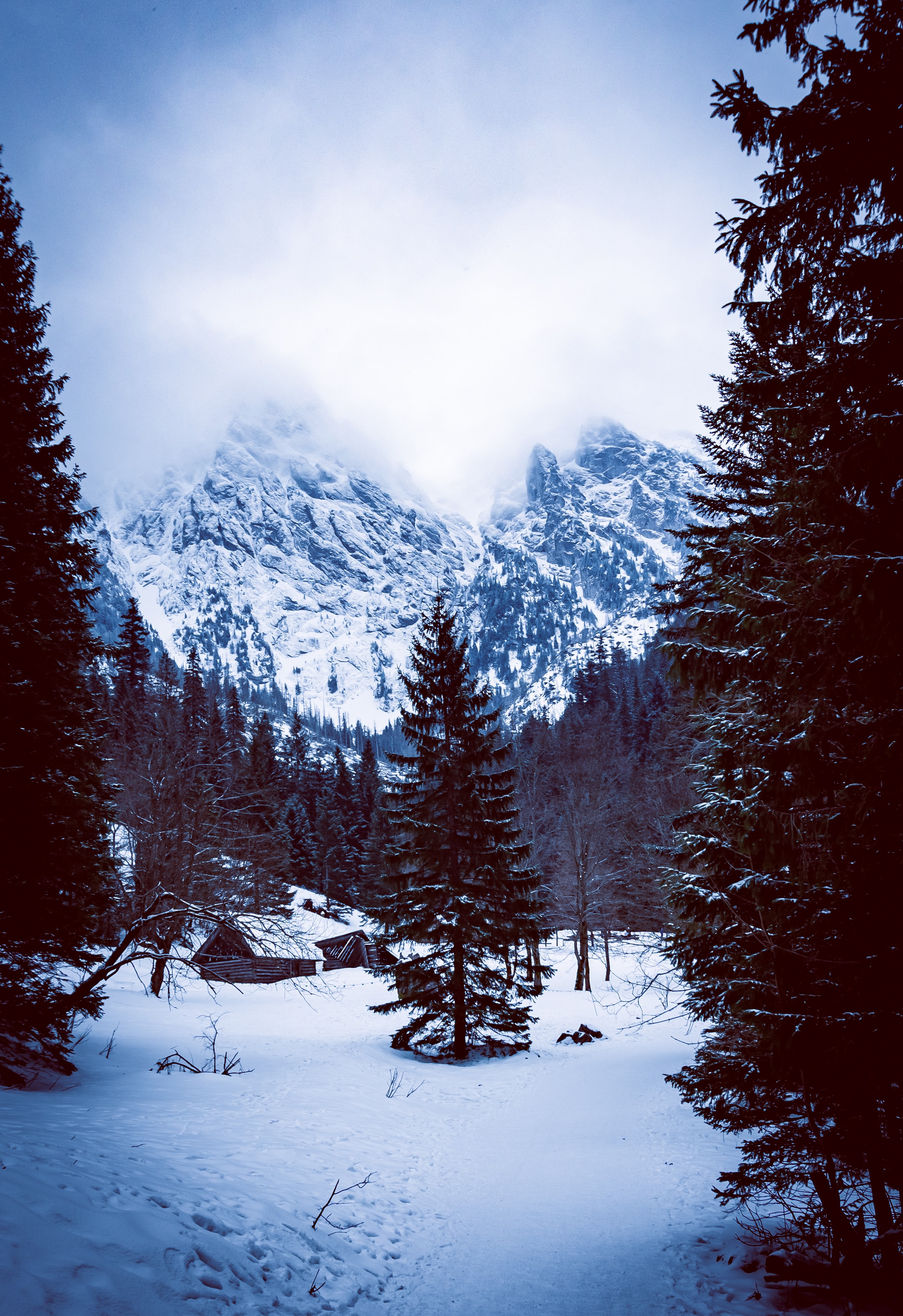 106724 завантажити картинку природа, гори, сніг, ліс, хатини, хатина - шпалери і заставки безкоштовно
