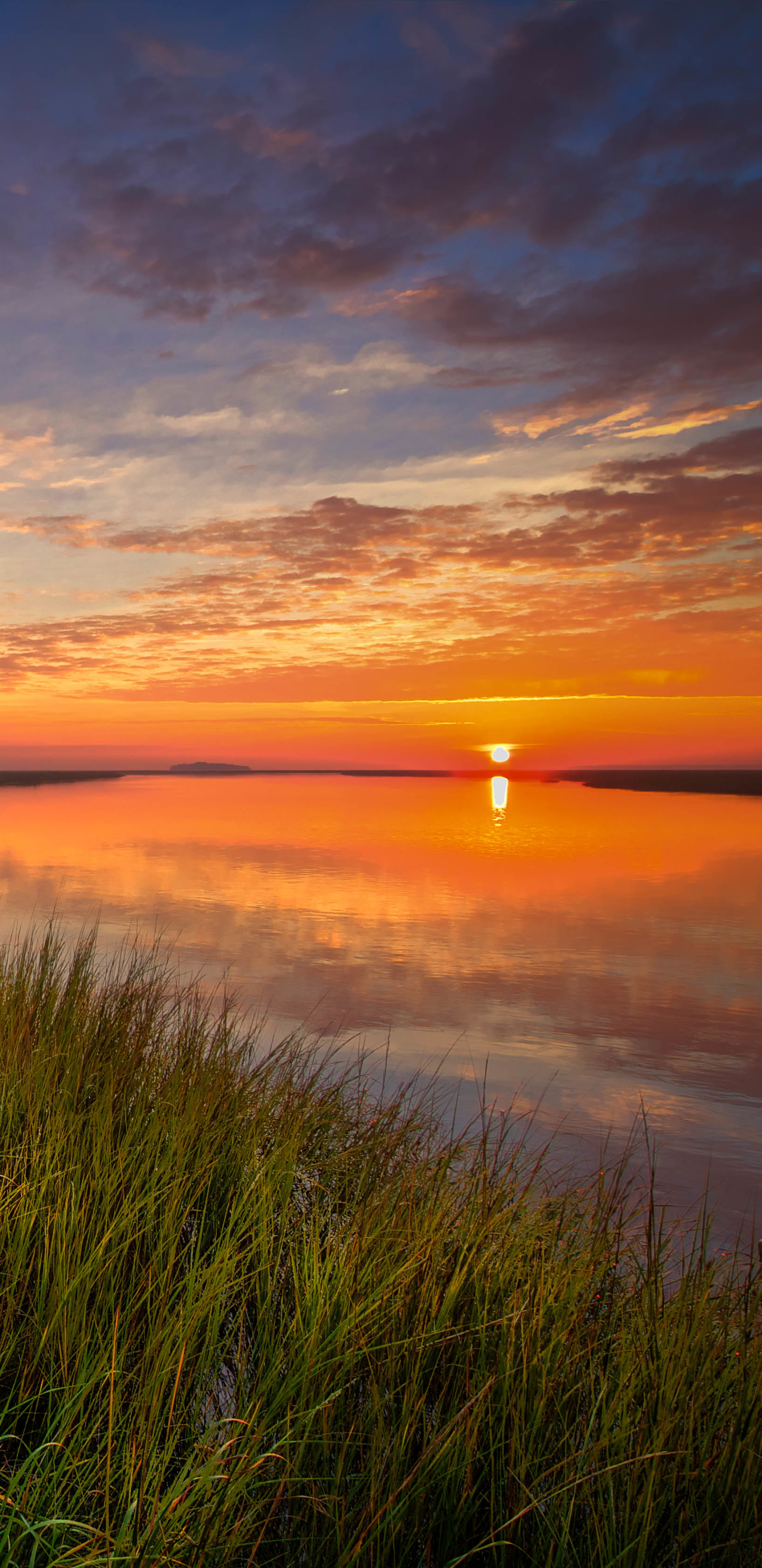 Download mobile wallpaper Sunset, Horizon, Lake, Tree, Earth for free.