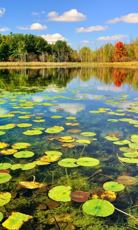 Baixar papel de parede para celular de Lagos, Lago, Terra/natureza gratuito.