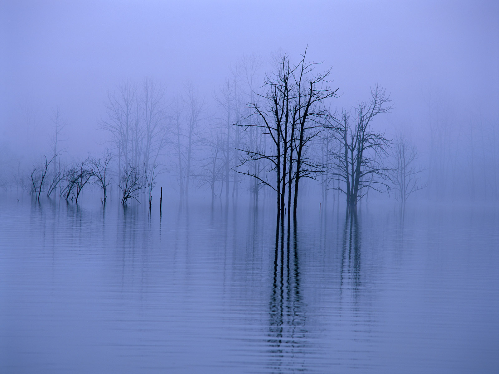 Baixe gratuitamente a imagem Terra/natureza, Neblina na área de trabalho do seu PC