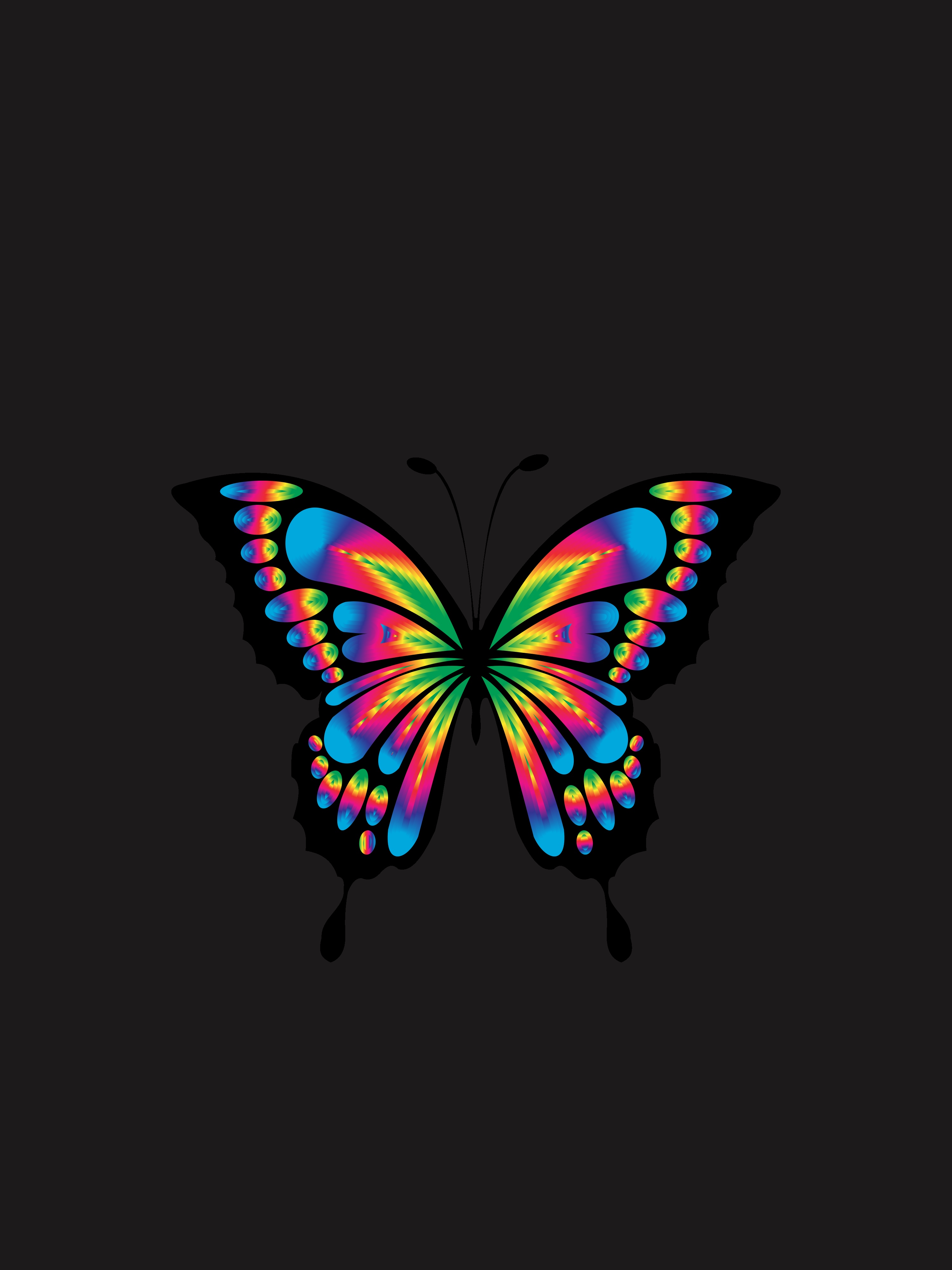 149266 descargar imagen mariposa, minimalismo, prismático, brillante, brillar, multicolor, abigarrado, brillo, cromático: fondos de pantalla y protectores de pantalla gratis