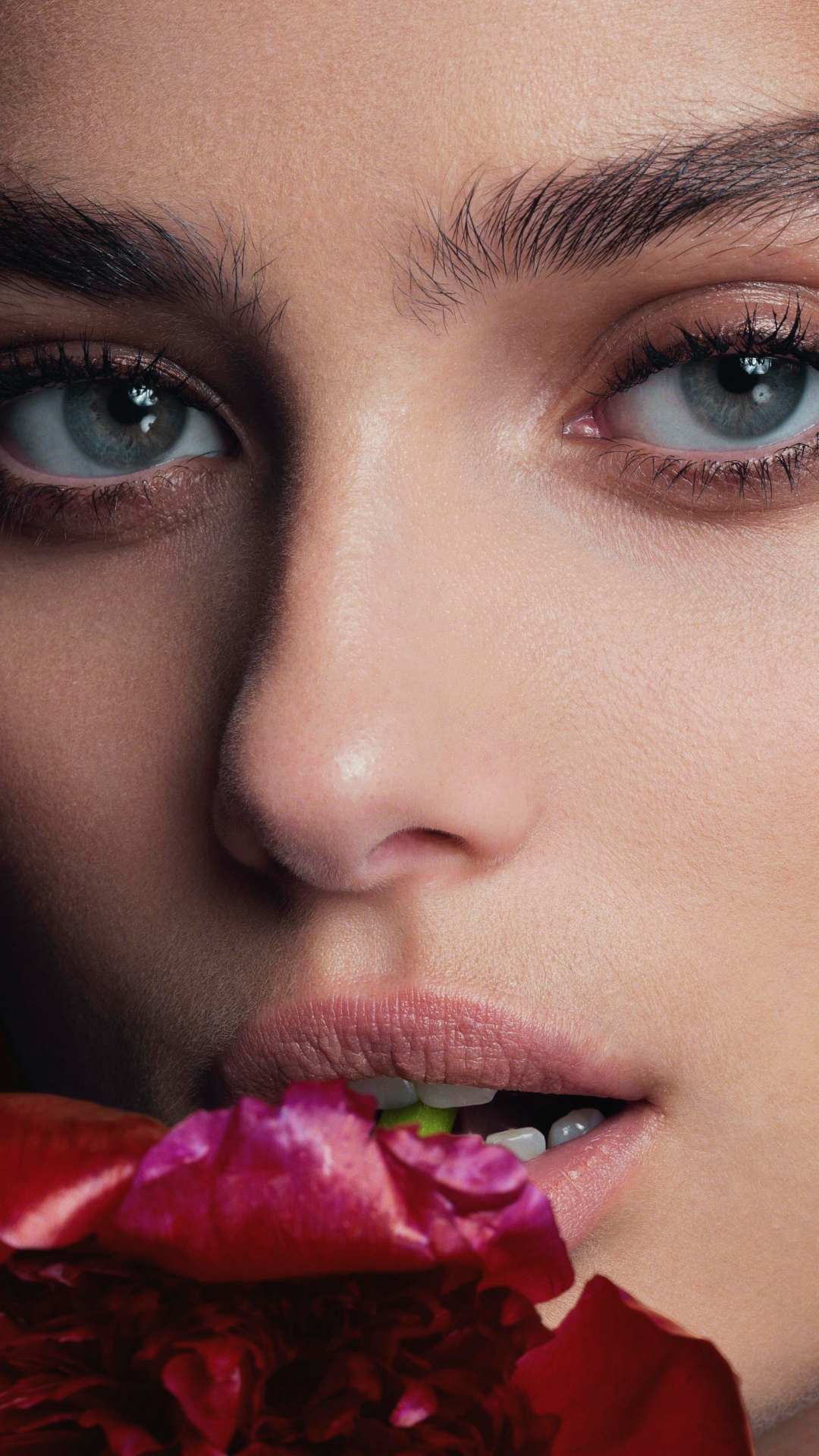 women, taylor marie hill, face, american, model, stare, blue eyes
