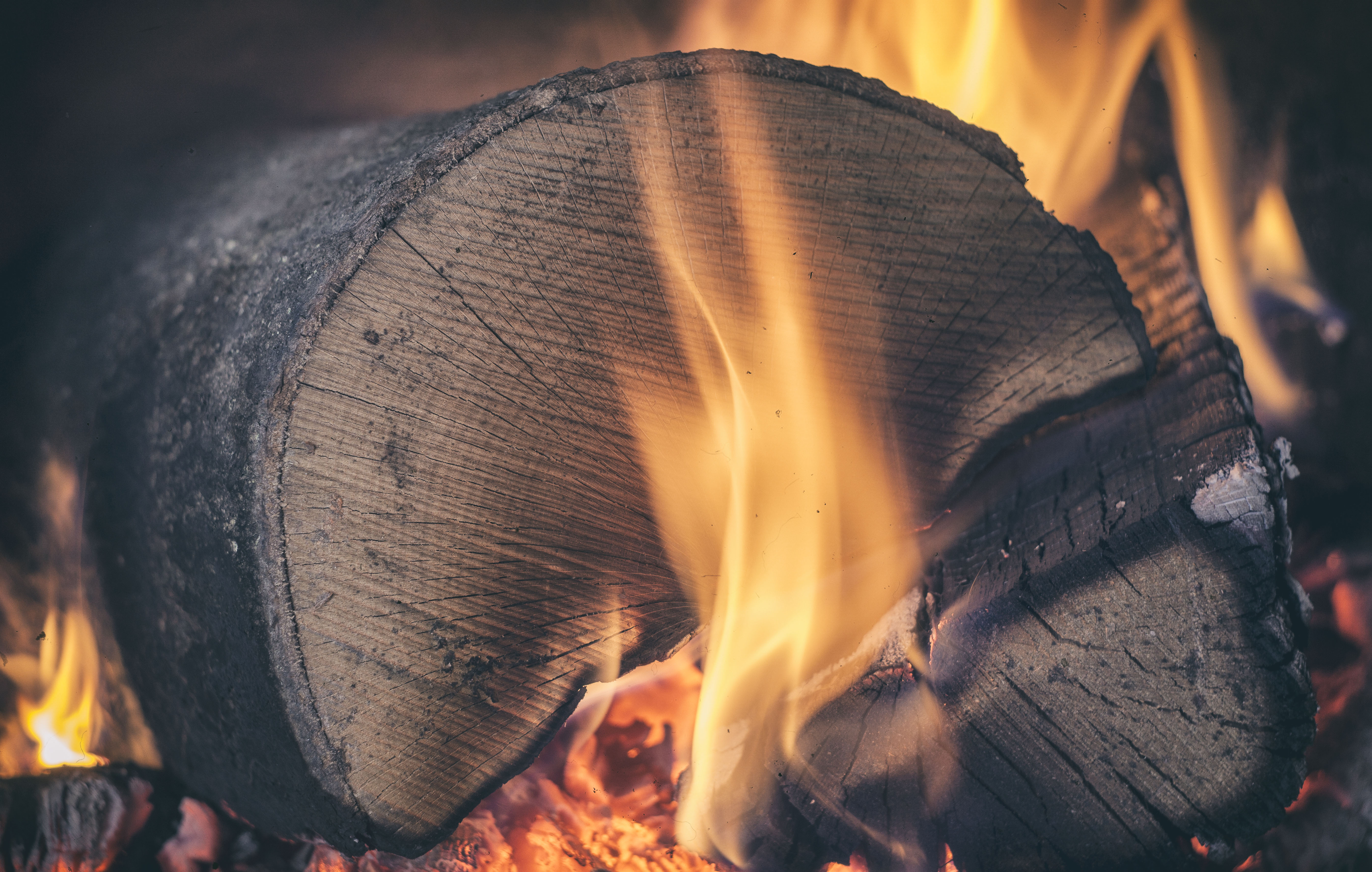 photography, fire, flame, log