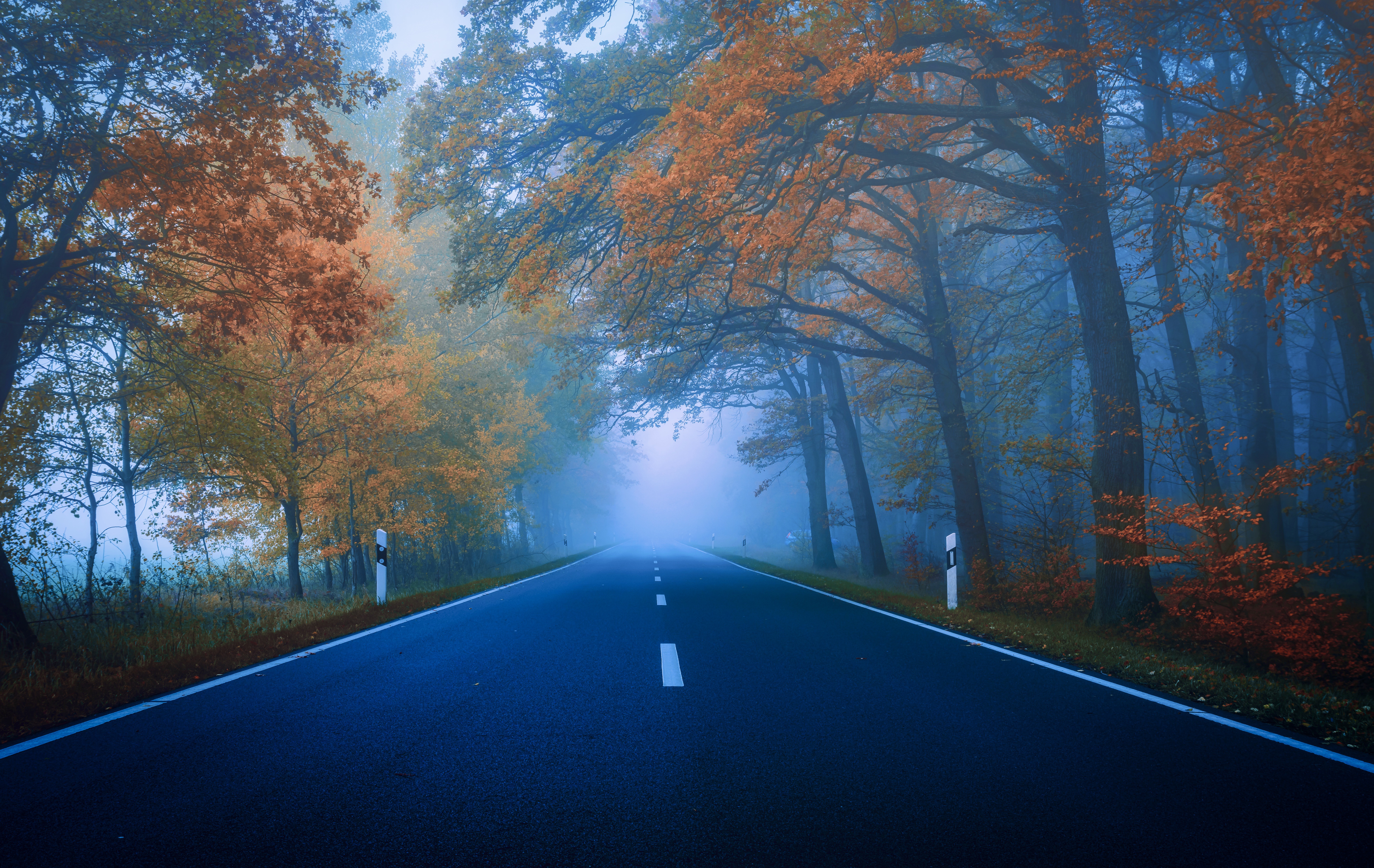 Free download wallpaper Road, Forest, Tree, Fog, Fall, Highway, Man Made on your PC desktop