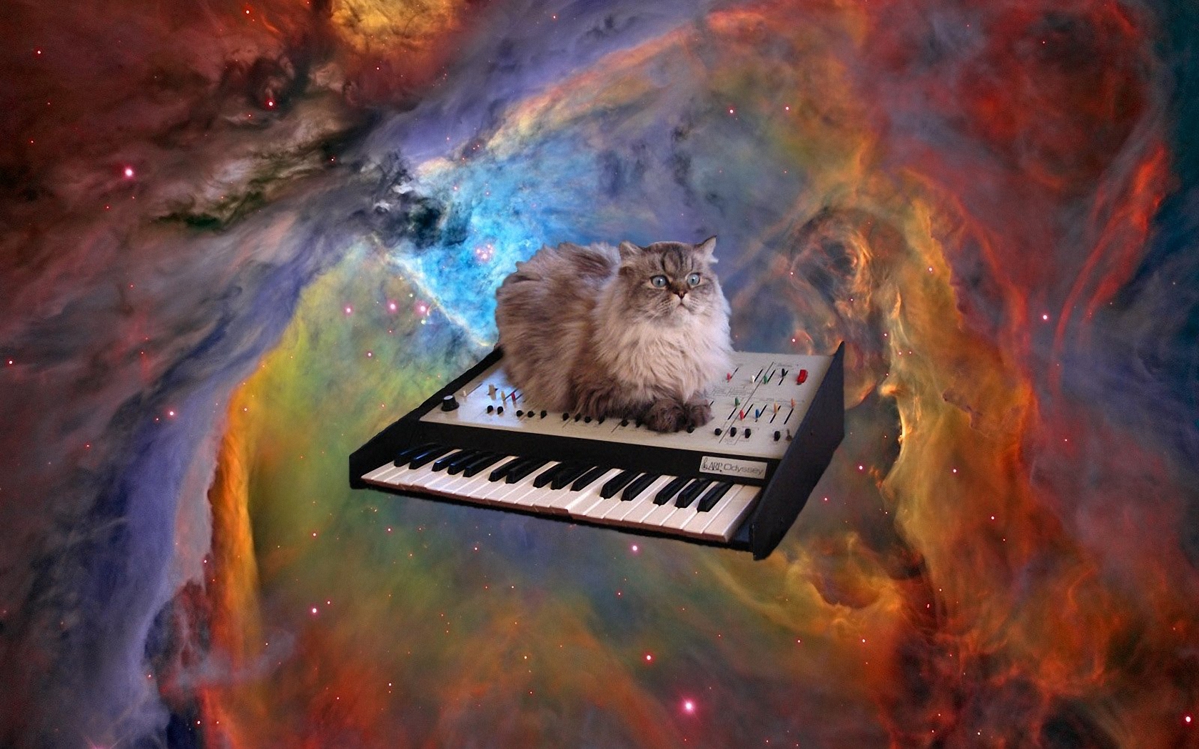 Скачать картинку Кошка, Фортепиано, Животные, Кошки, Космос в телефон бесплатно.