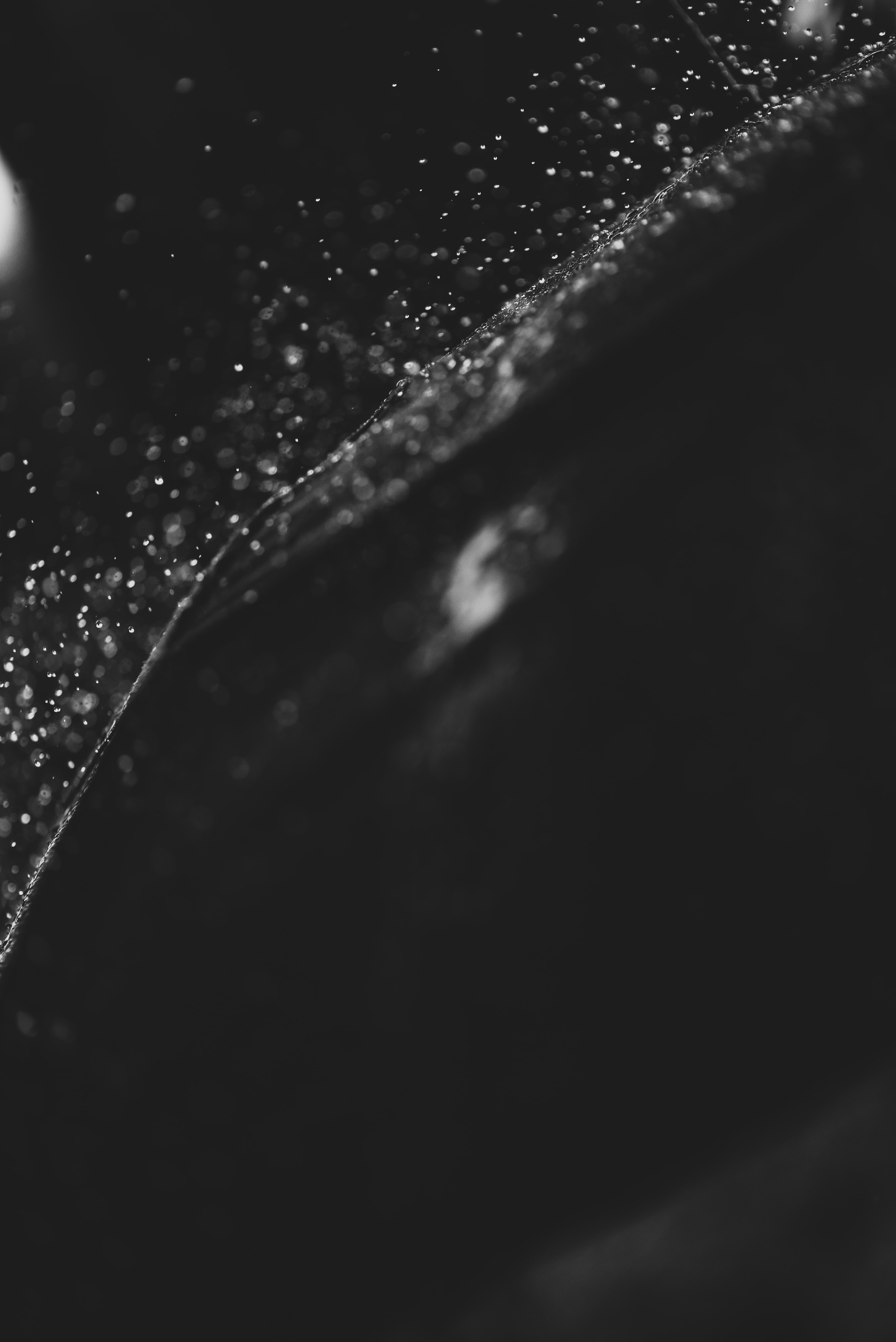 Download mobile wallpaper Chb, Bw, Surface, Water, Drops, Dark for free.