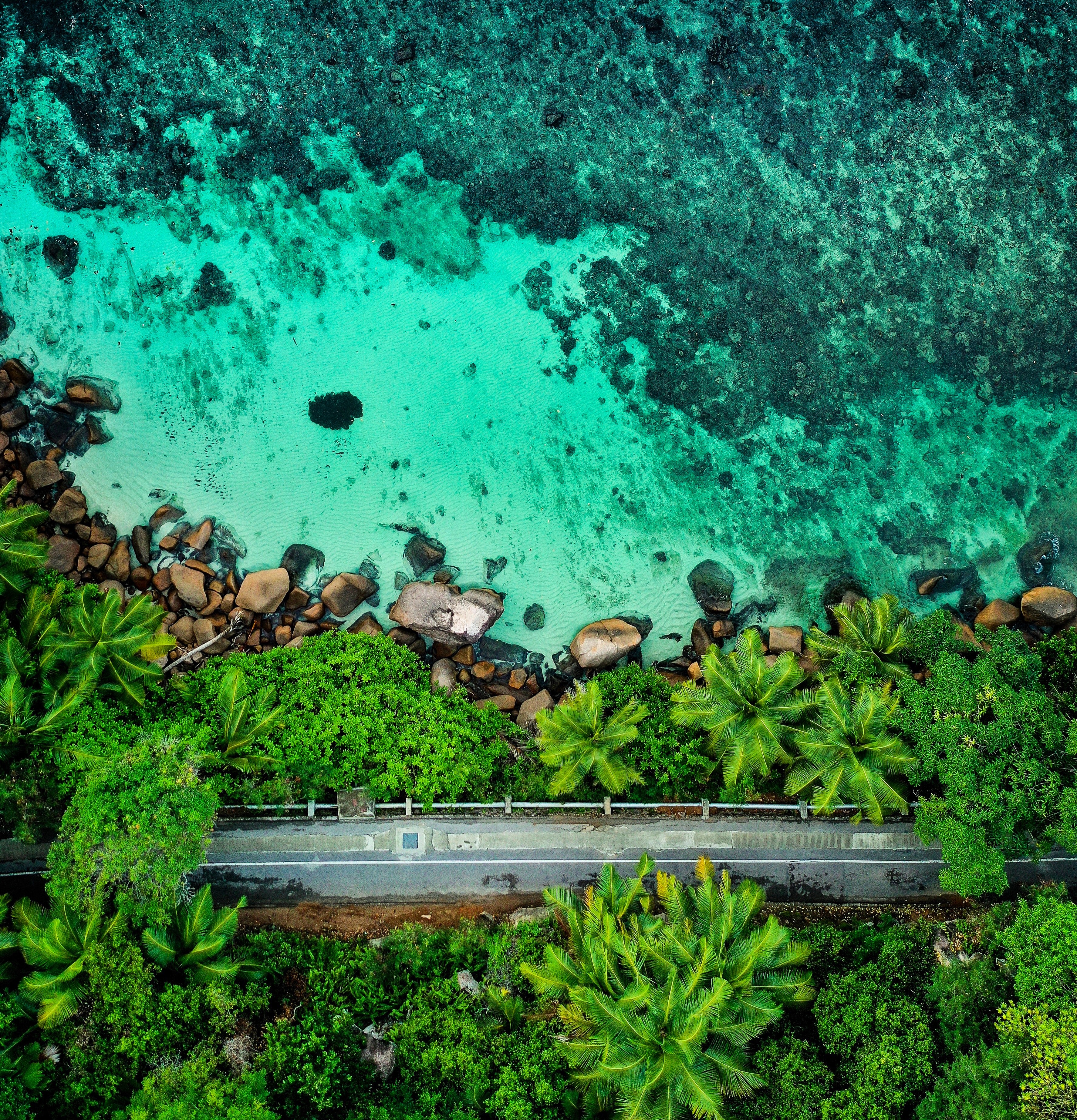 Download mobile wallpaper View From Above, Stones, Coast, Road, Nature, Palms for free.