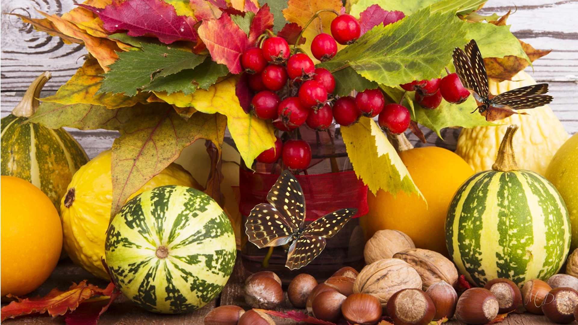 Free download wallpaper Leaf, Fall, Butterfly, Berry, Artistic, Nut, Gourd on your PC desktop