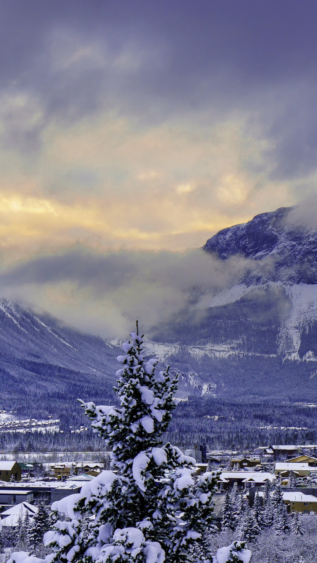 Скачать картинку Пейзаж, Зима, Снег, Гора, Канада, Дерево, Ландшафт, Фотографии, Альберта, Национальный Парк Банф в телефон бесплатно.