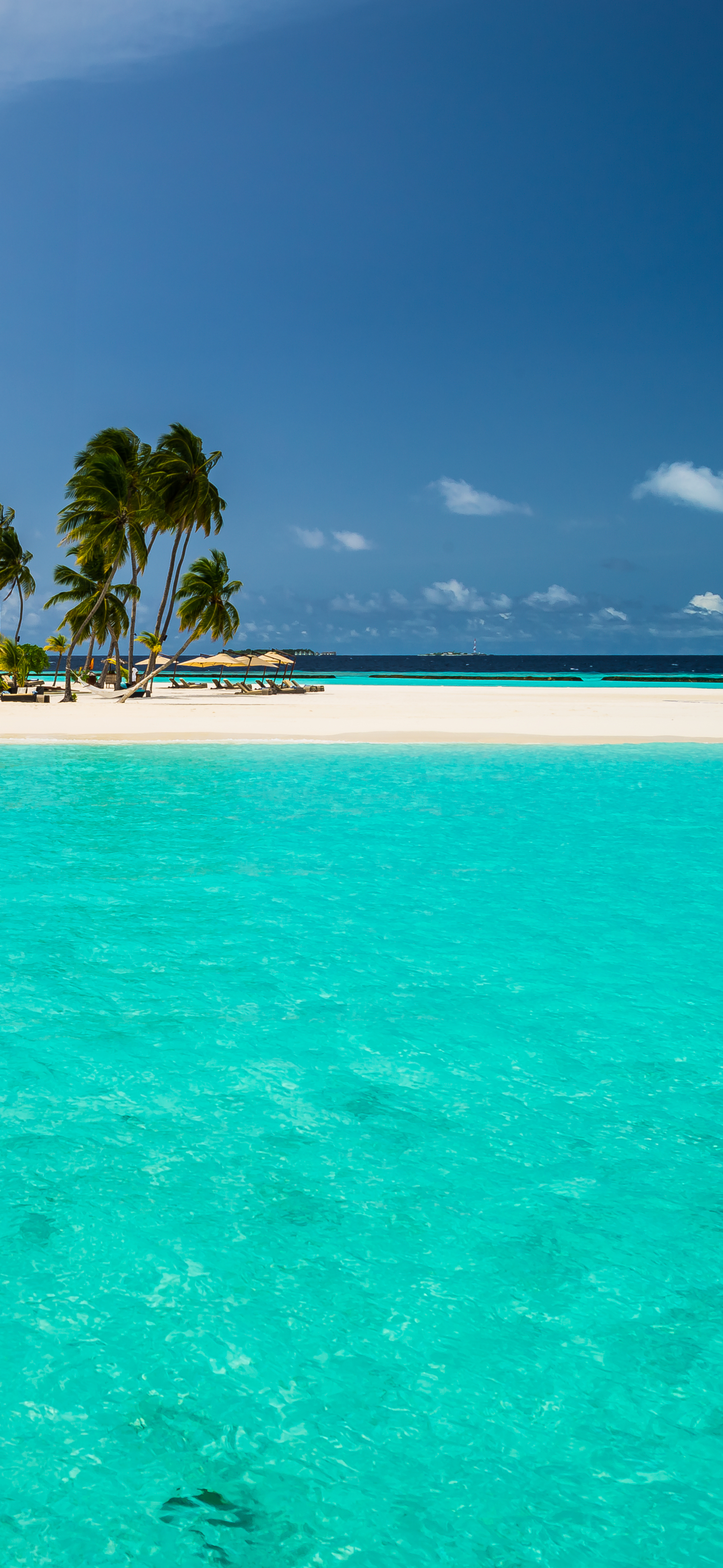 Téléchargez des papiers peints mobile Vacances, Tropiques, Tropical, Photographie, Maldives, Vacance gratuitement.
