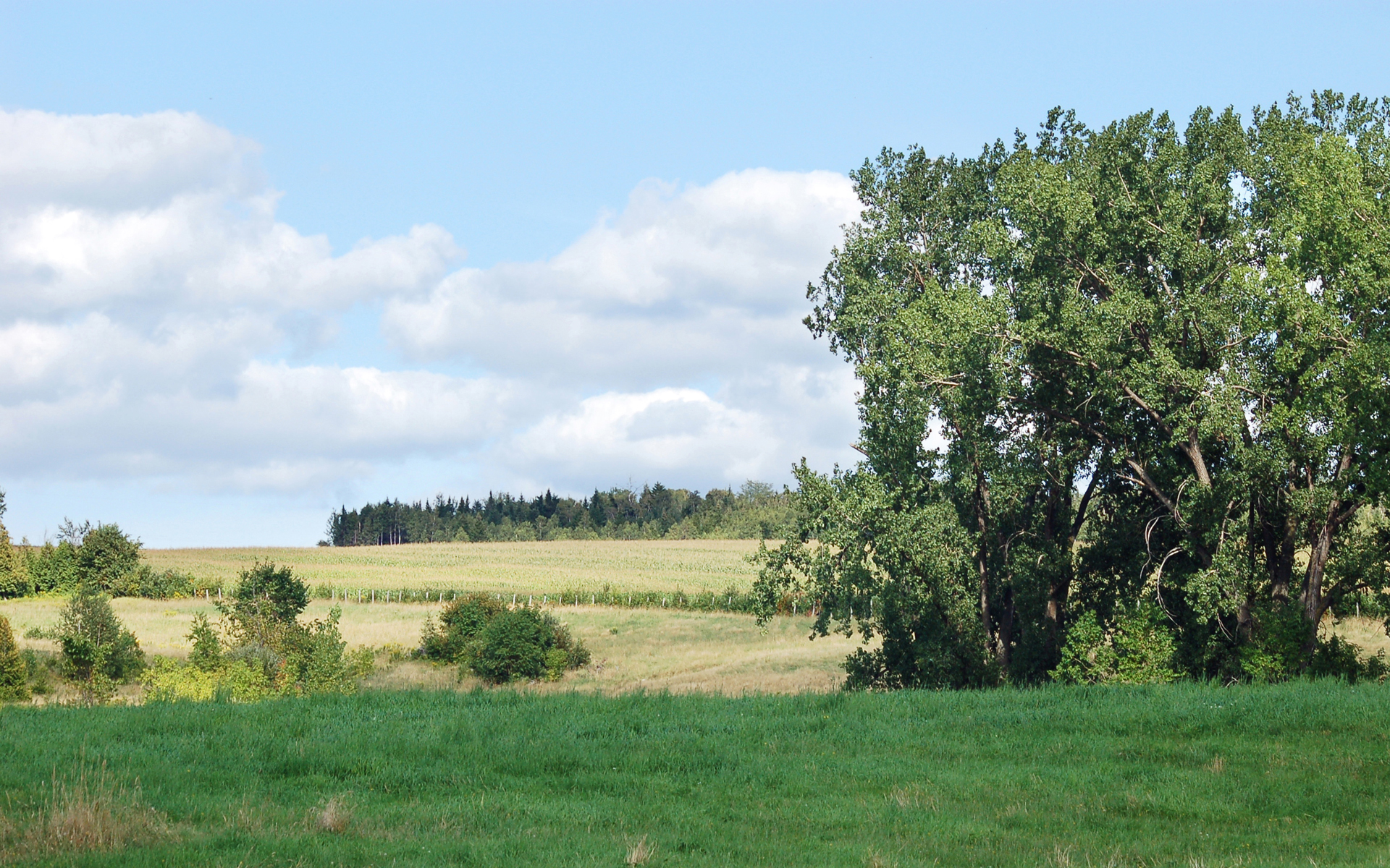 Handy-Wallpaper Landschaft, Erde/natur kostenlos herunterladen.