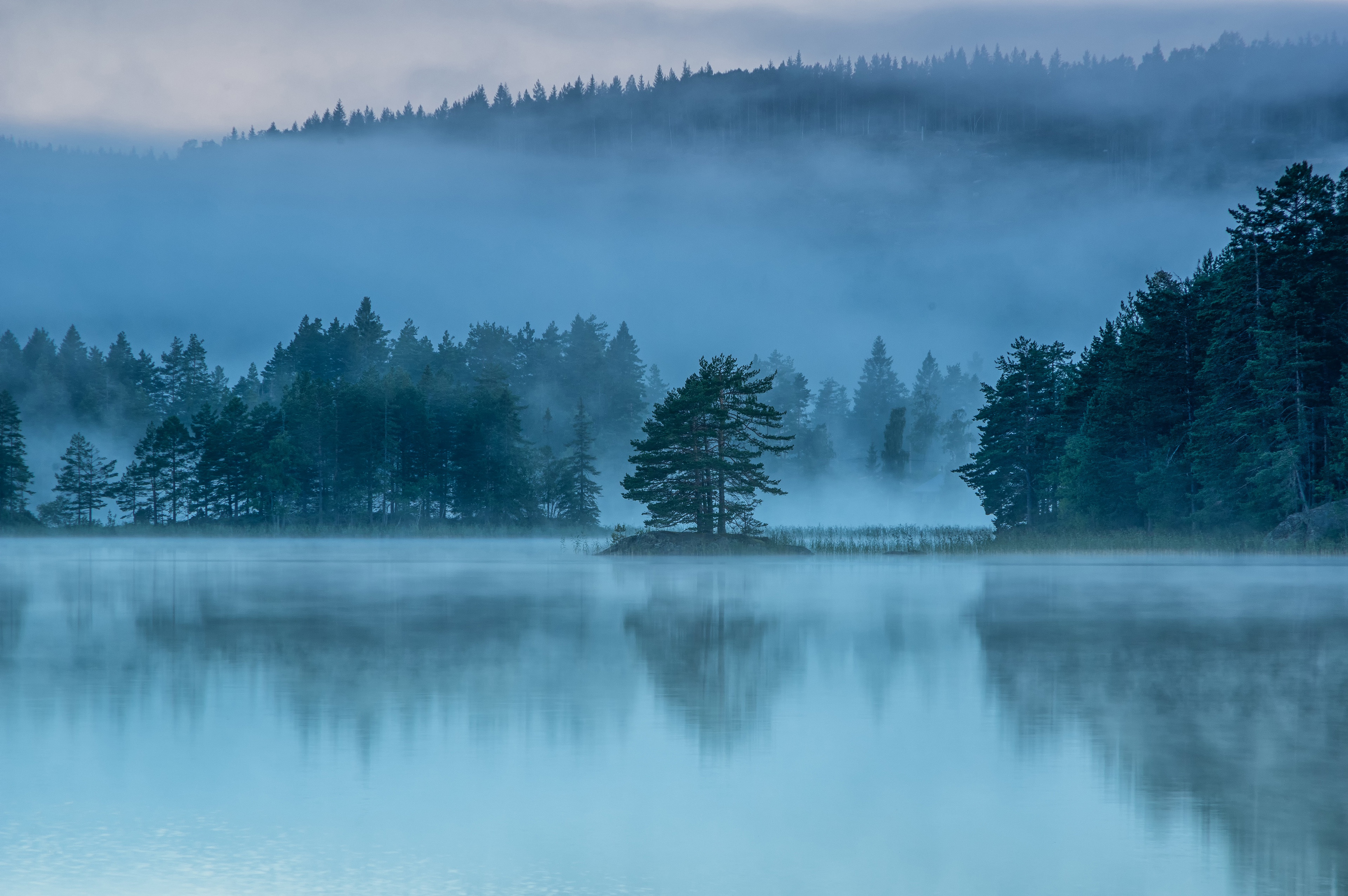 Download mobile wallpaper Reflection, Tree, Fog, Earth for free.