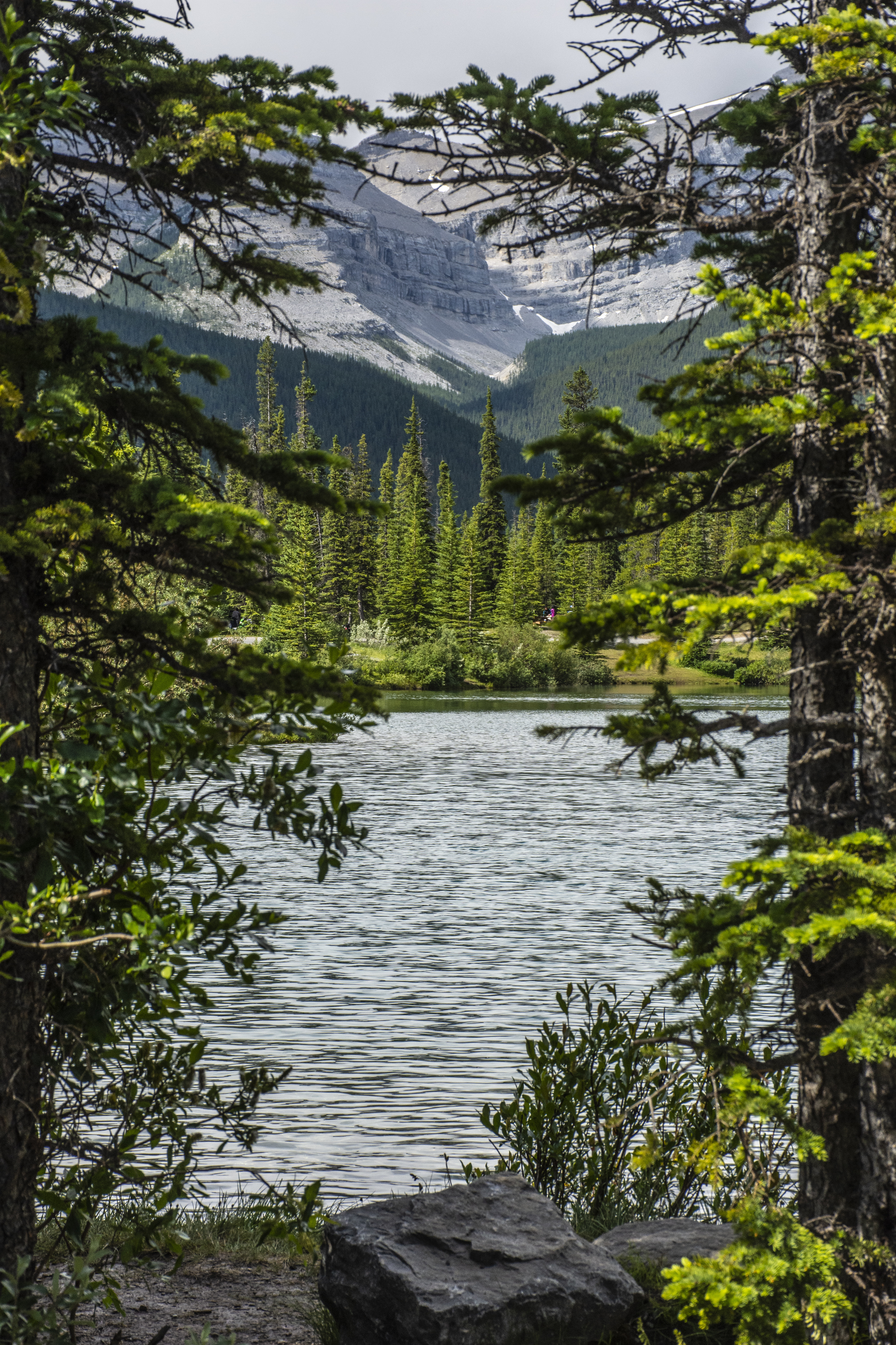 Téléchargez gratuitement l'image Noyaux, Branches, Nature, Montagnes, Lac, Eau sur le bureau de votre PC