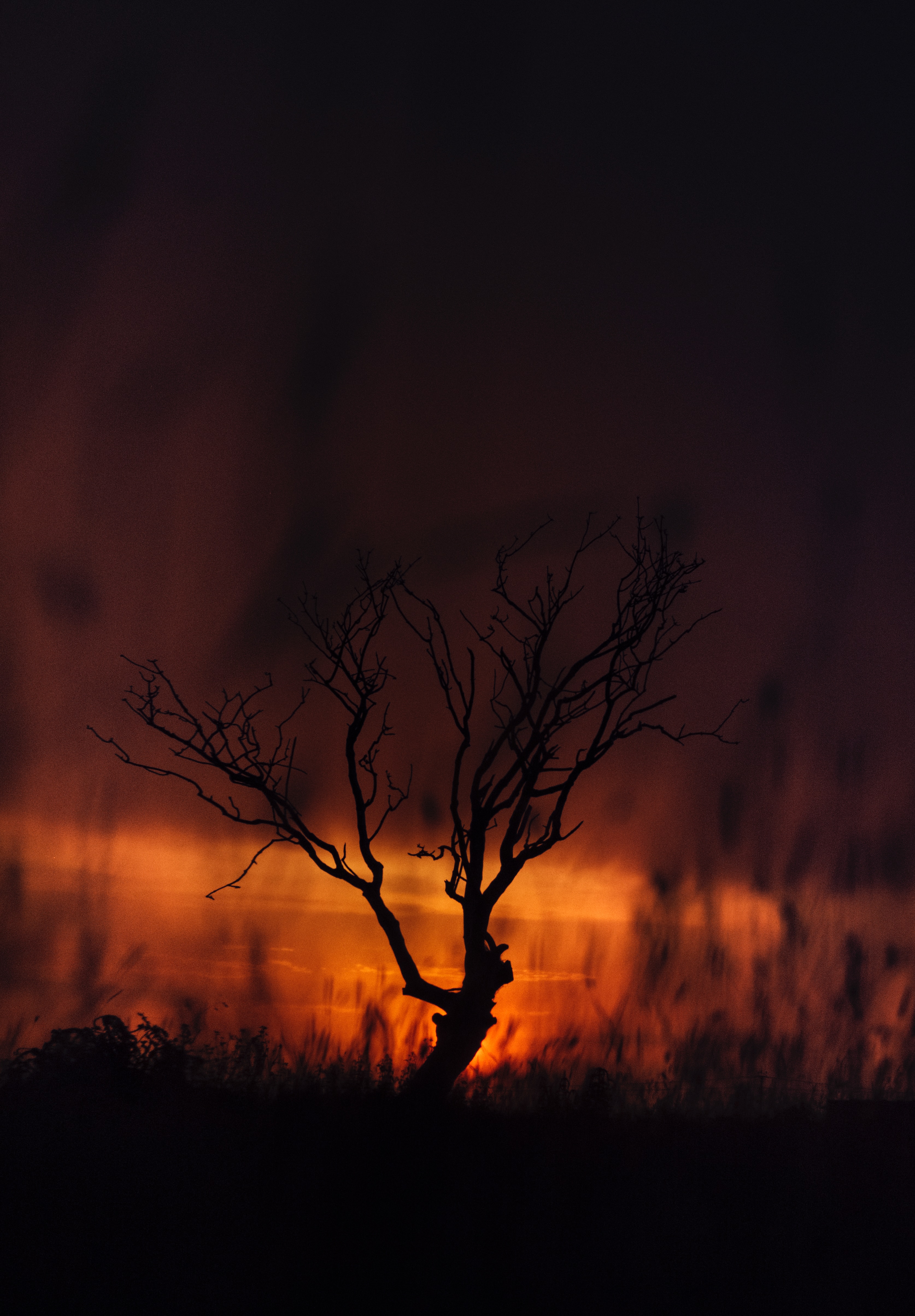Free download wallpaper Sunset, Wood, Tree, Dusk, Dark, Twilight, Landscape on your PC desktop