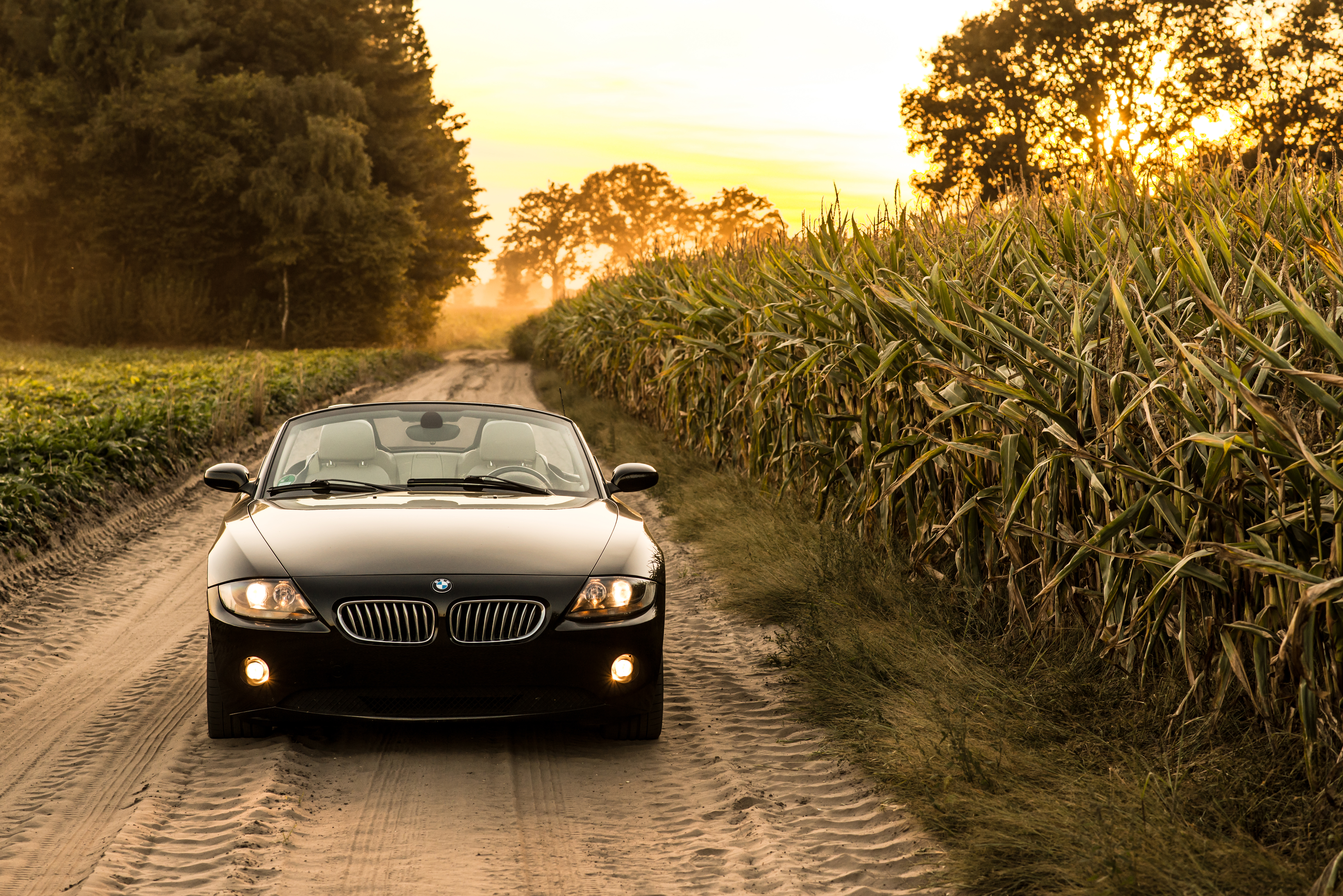 Download mobile wallpaper Road, Machine, Car, Front View, Headlight, Cars, Bmw for free.