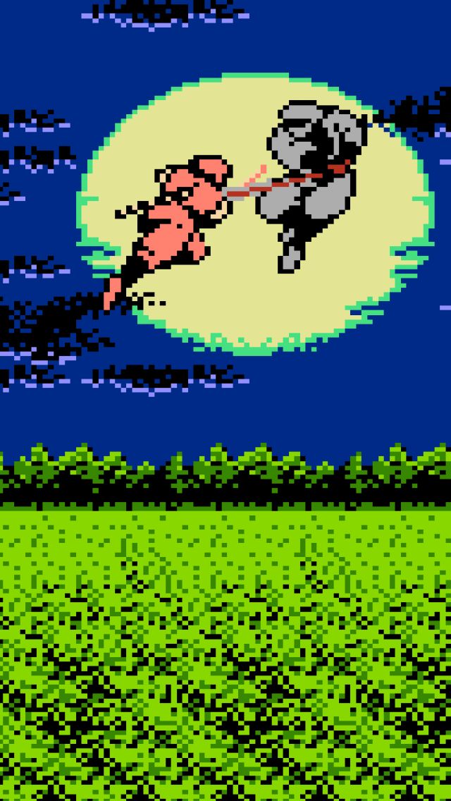 Download mobile wallpaper Video Game, Ninja Gaiden for free.