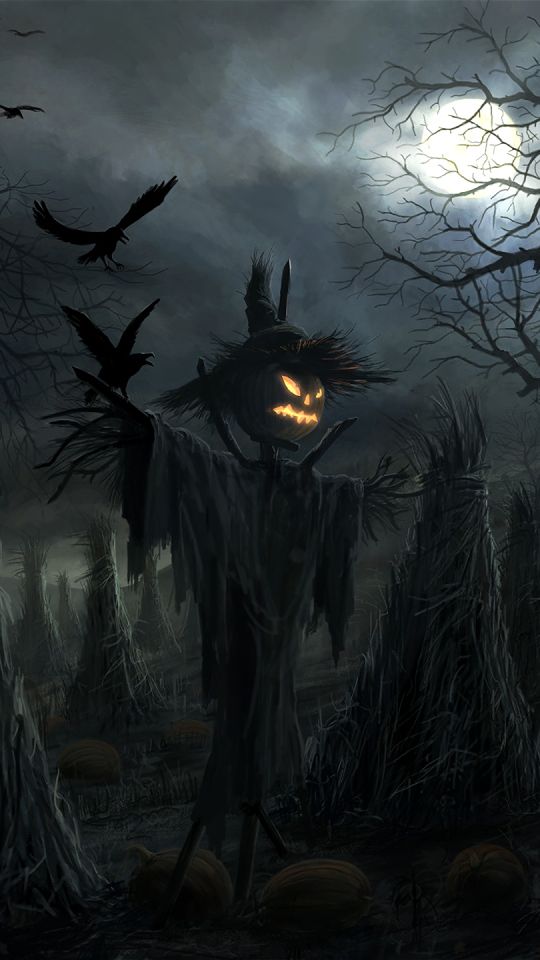 holiday, halloween, raven, scarecrow, jack o' lantern, dark, night