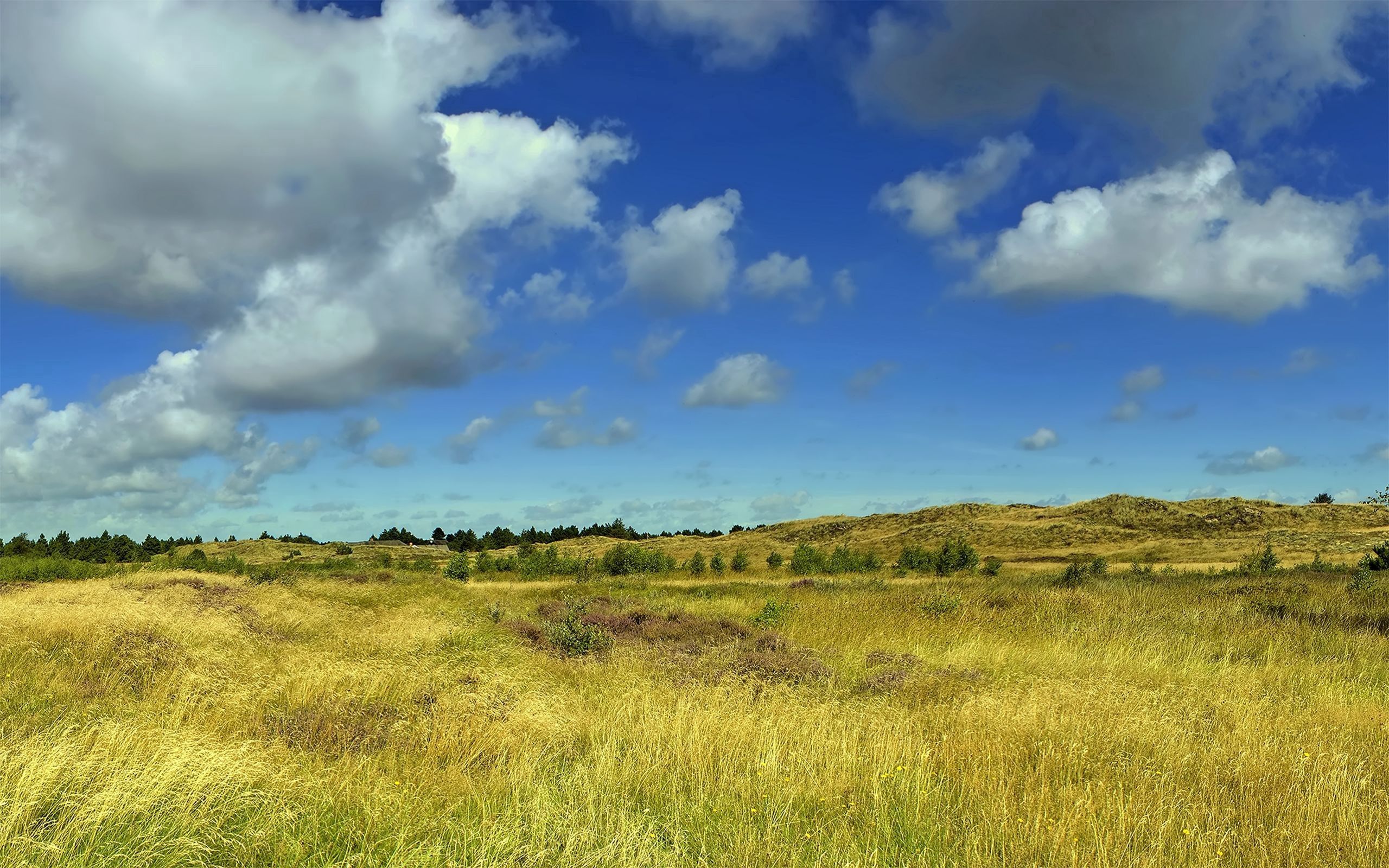 Free download wallpaper Grass, Sky, Clouds, Summer, Field, Nature on your PC desktop