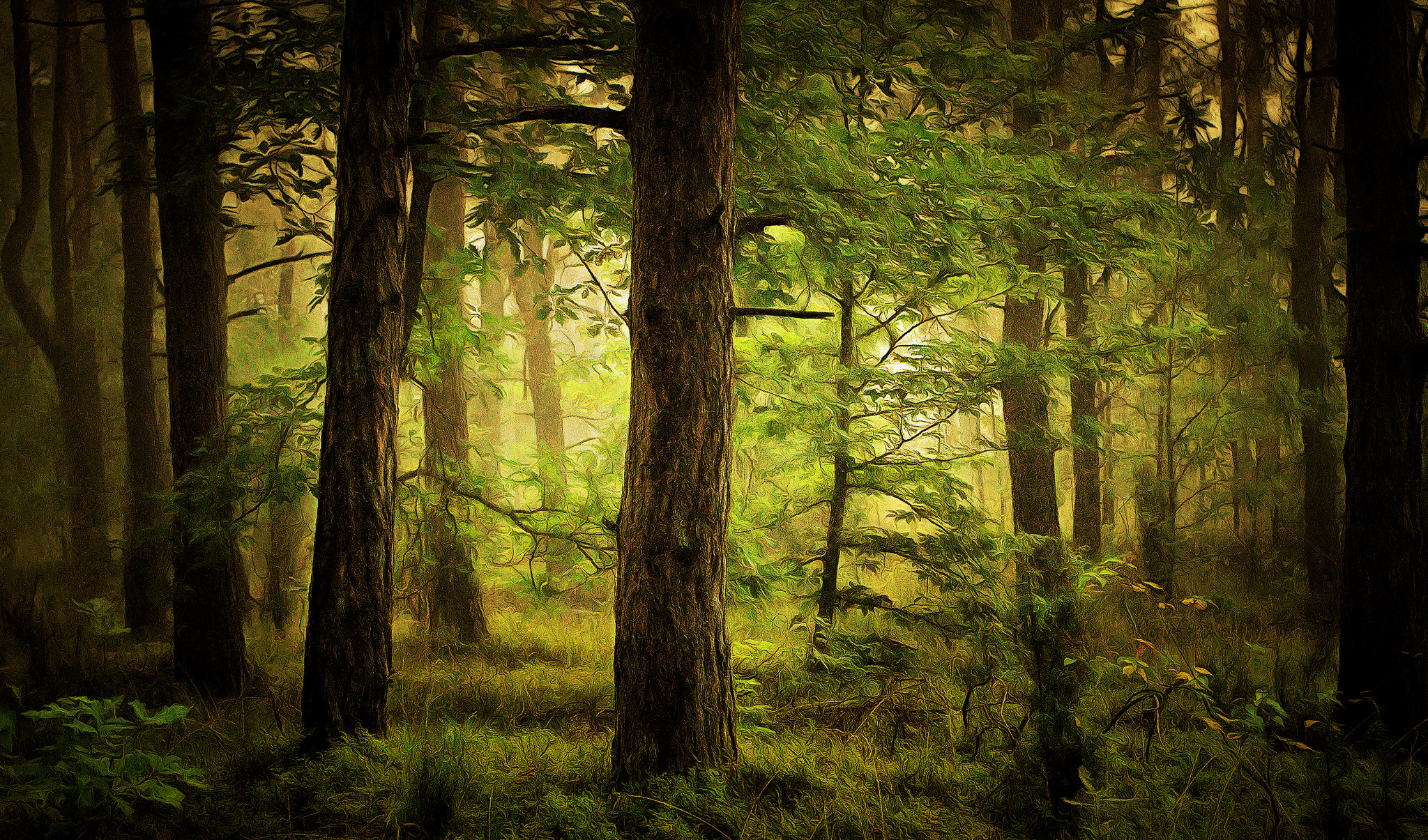 Download mobile wallpaper Forest, Tree, Painting, Artistic for free.