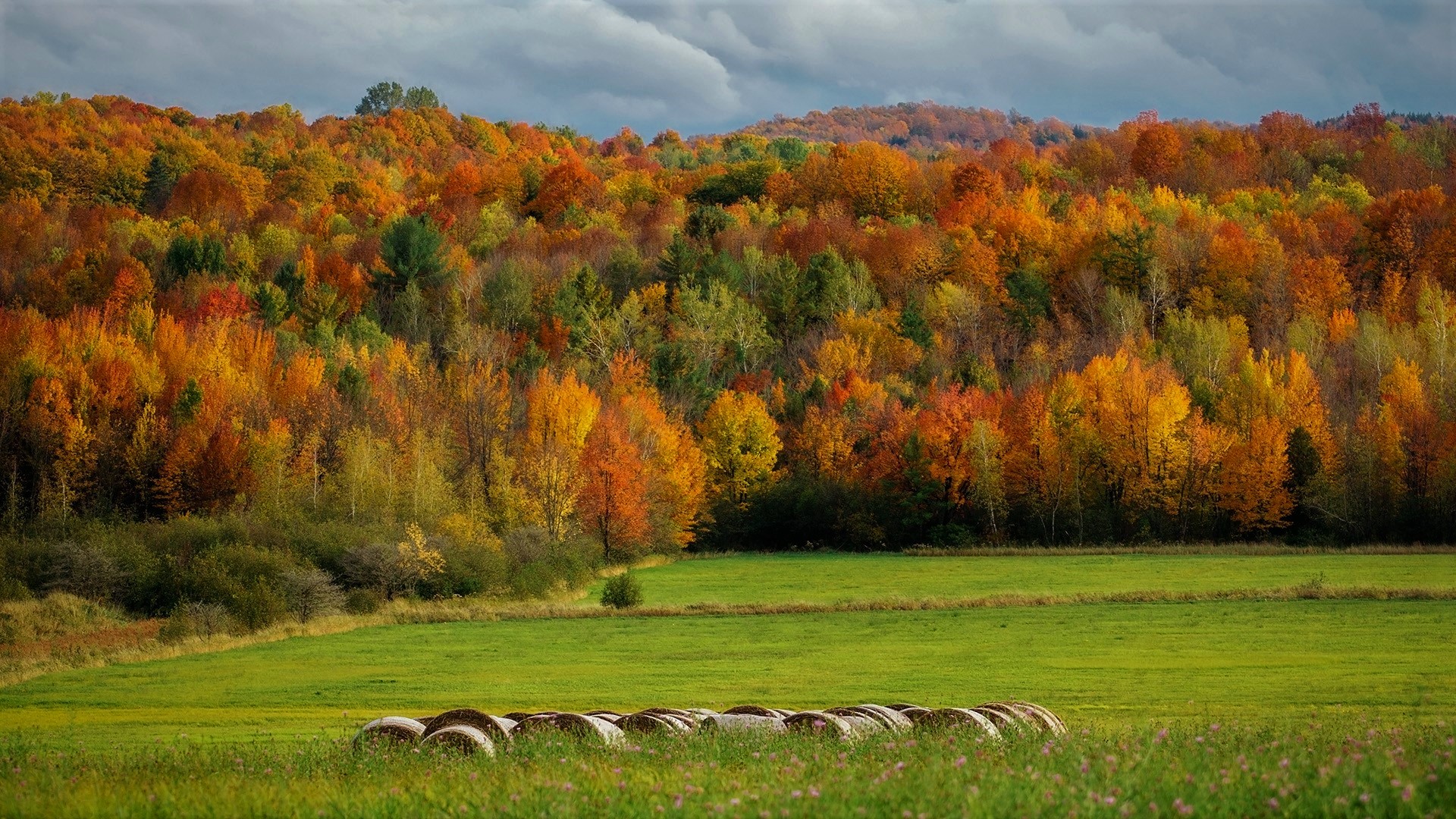 Free download wallpaper Forest, Fall, Earth, Field, Haystack on your PC desktop