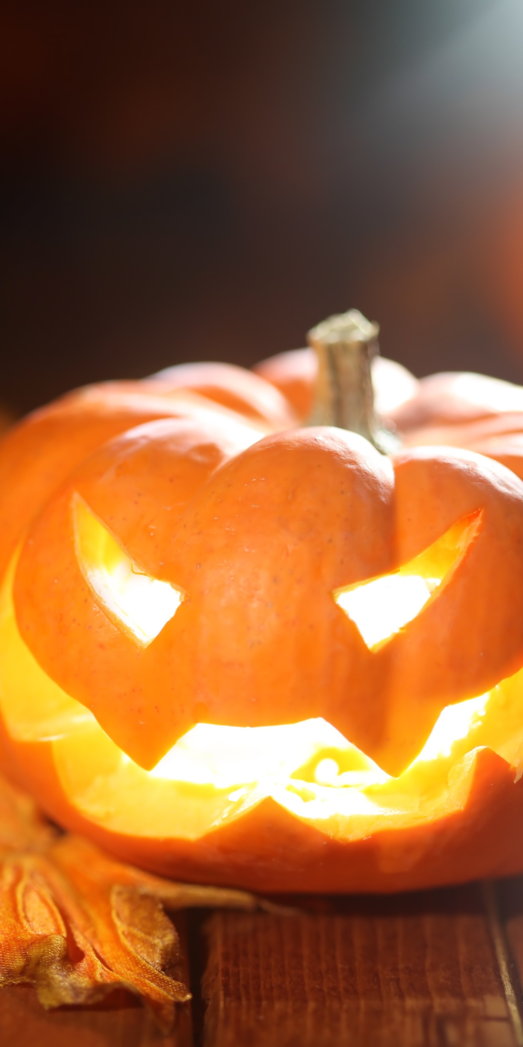 Download mobile wallpaper Halloween, Holiday, Jack O' Lantern for free.