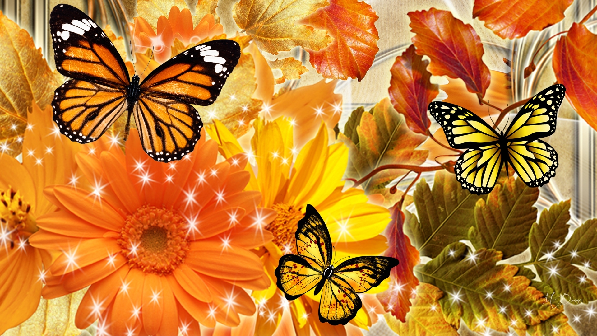 Скачать картинку Цветок, Бабочка, Жёлтый, Падать, Художественные, Оранжевый Цвет) в телефон бесплатно.