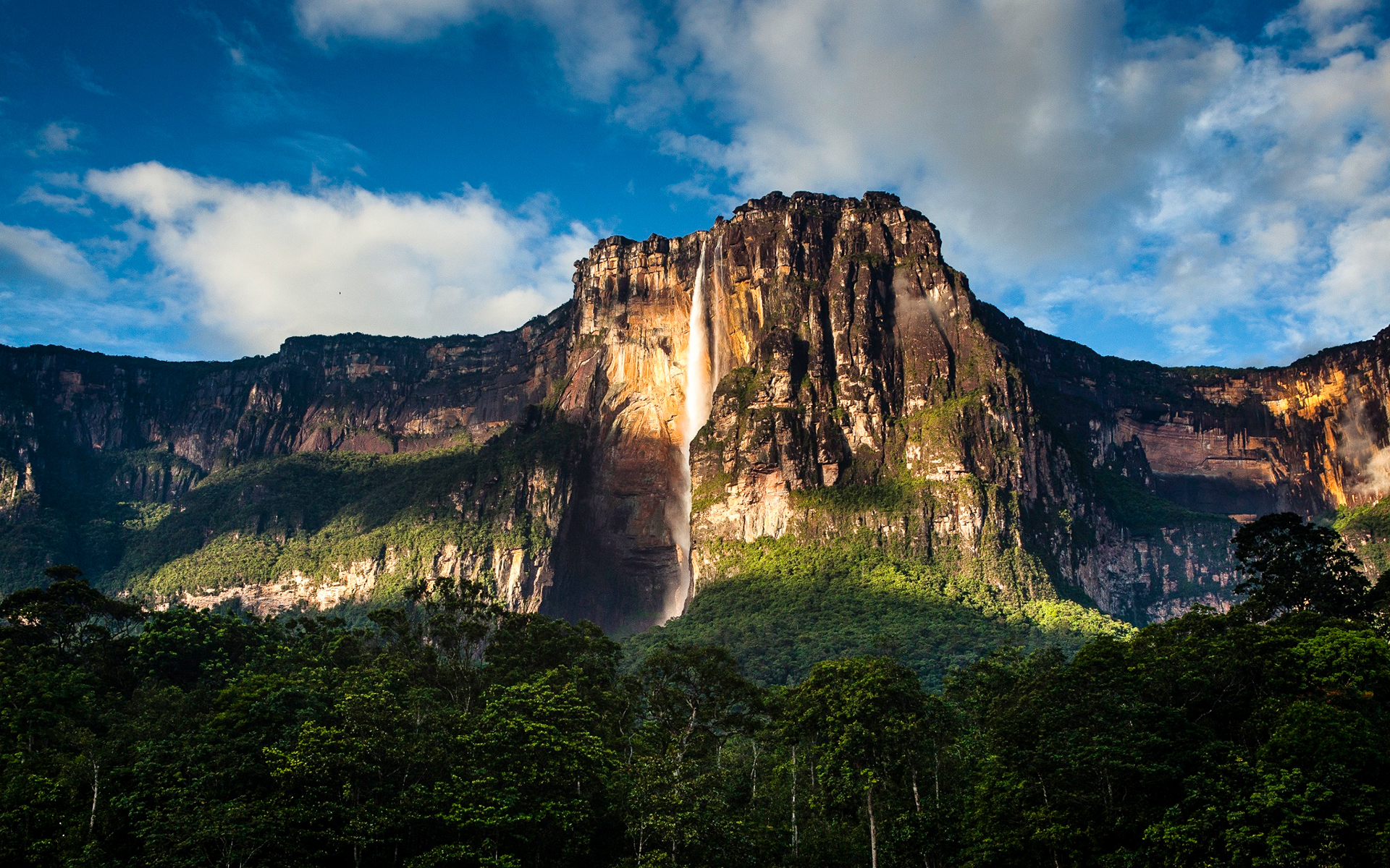 386966 скачать обои водопад анхель, земля/природа, лес, венесуэла, водопад, водопады - заставки и картинки бесплатно