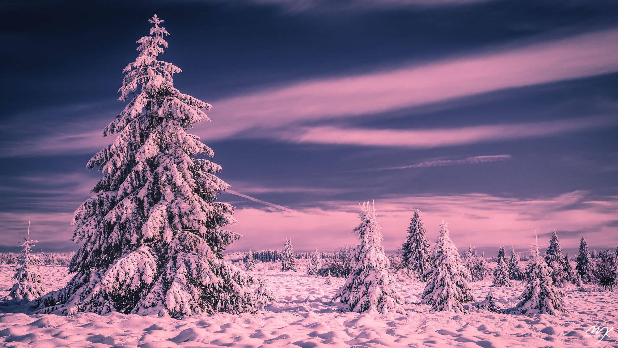 Скачать картинку Зима, Природа, Небо, Облака, Снег, Дерево, Земля/природа в телефон бесплатно.