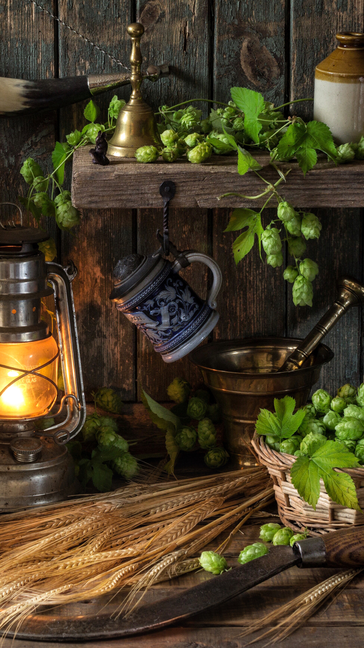 Download mobile wallpaper Wheat, Still Life, Lantern, Photography, Hop for free.