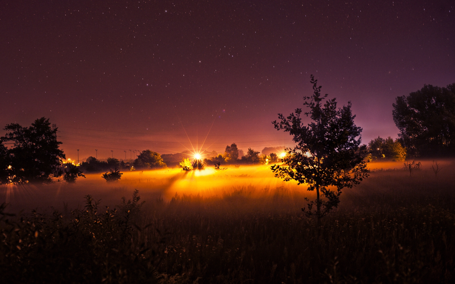 Download mobile wallpaper Stars, Night, Light, Tree, Fog, Photography for free.