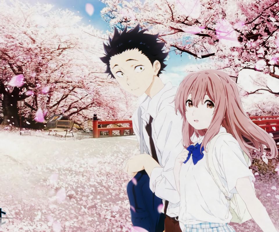 Free download wallpaper Anime, Shouko Nishimiya, Shouya Ishida, Koe No Katachi on your PC desktop