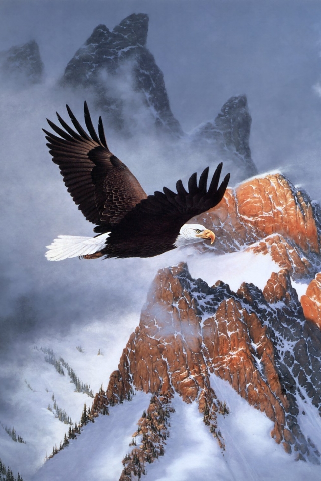 Download mobile wallpaper Birds, Animal, Bald Eagle for free.