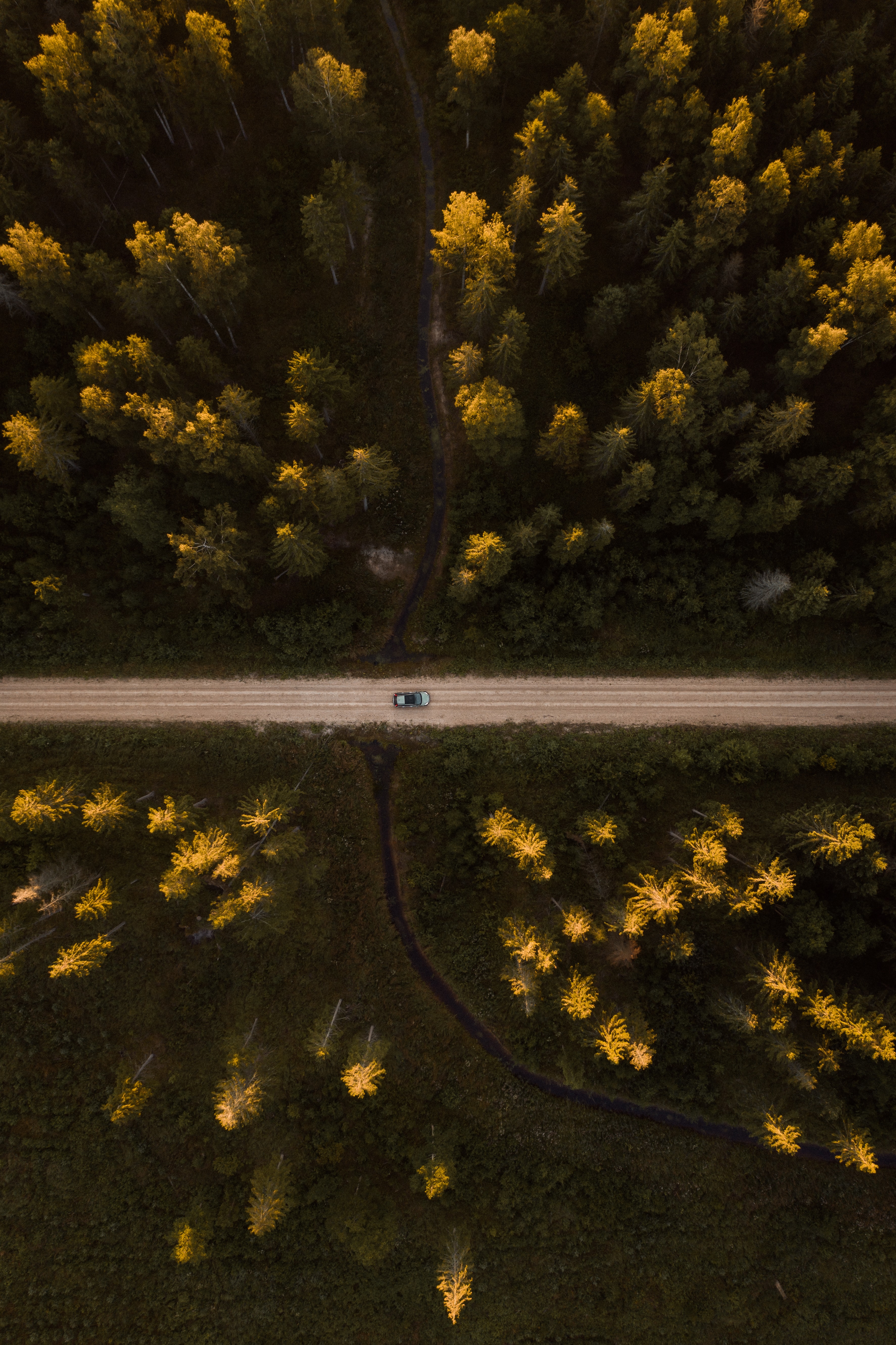 Download mobile wallpaper Road, View From Above, Trees, Car, Machine, Forest, Nature for free.