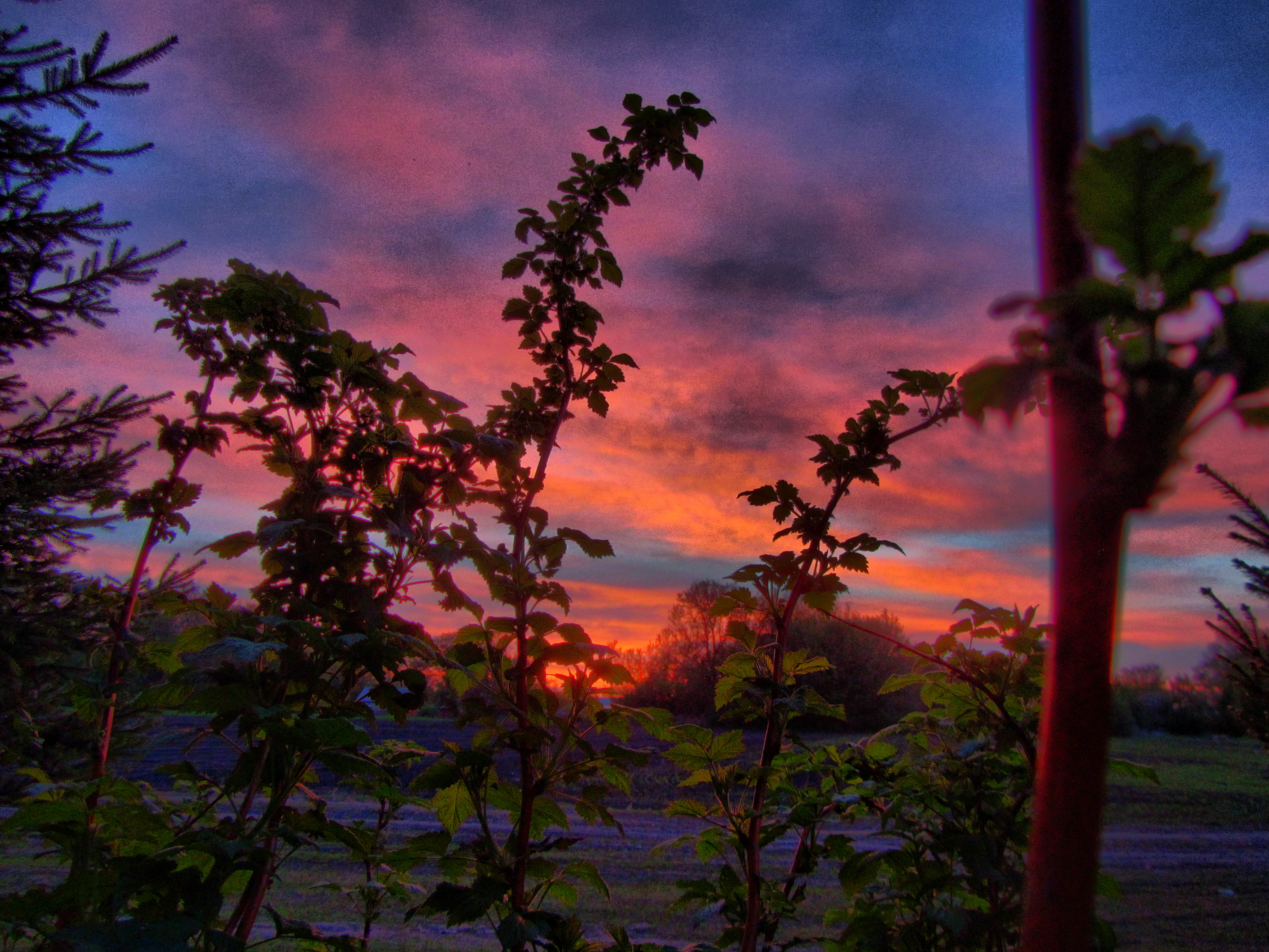 Descarga gratuita de fondo de pantalla para móvil de Amanecer, Fotografía.